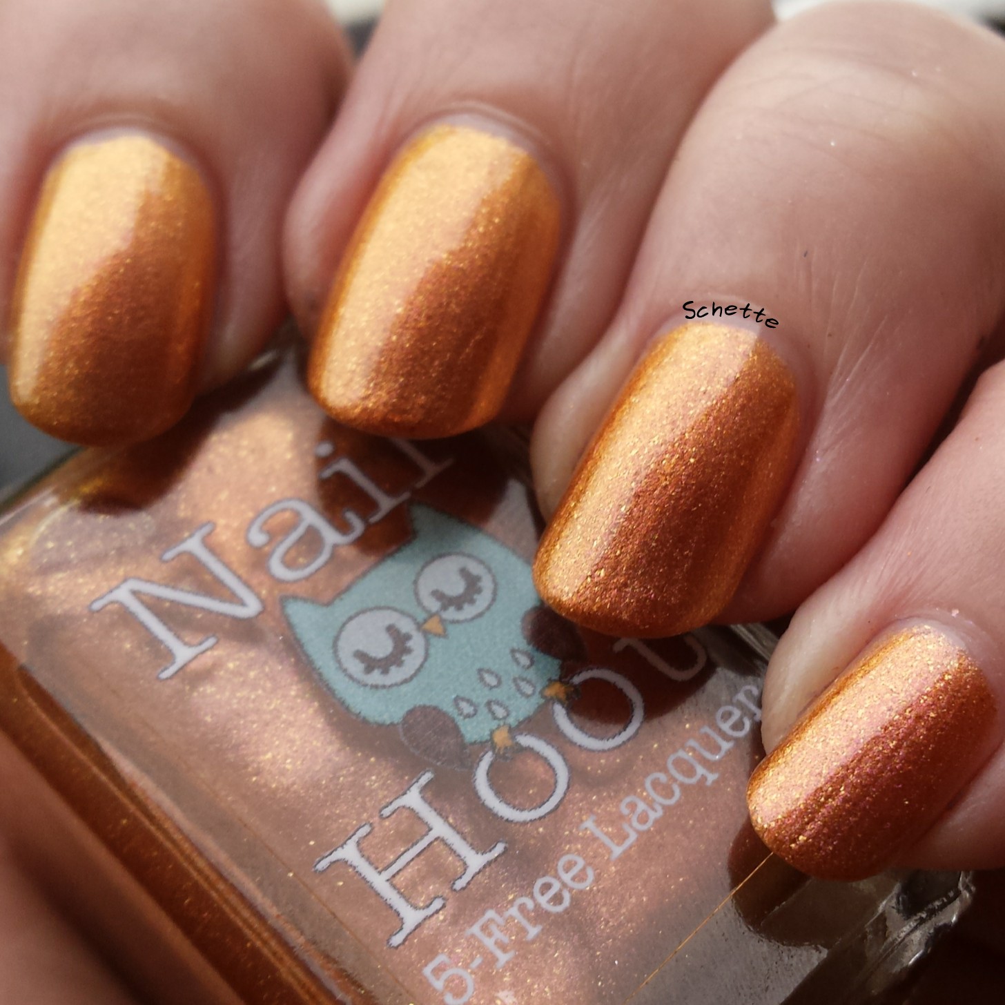 Nail Hoot : Season Collection