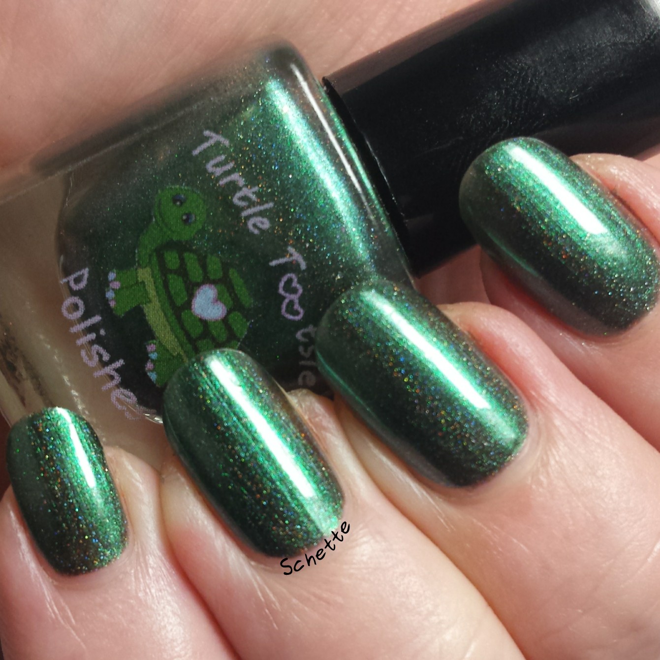 Turtle Tootsie Polish : Lot Lizard, Hemorrhage