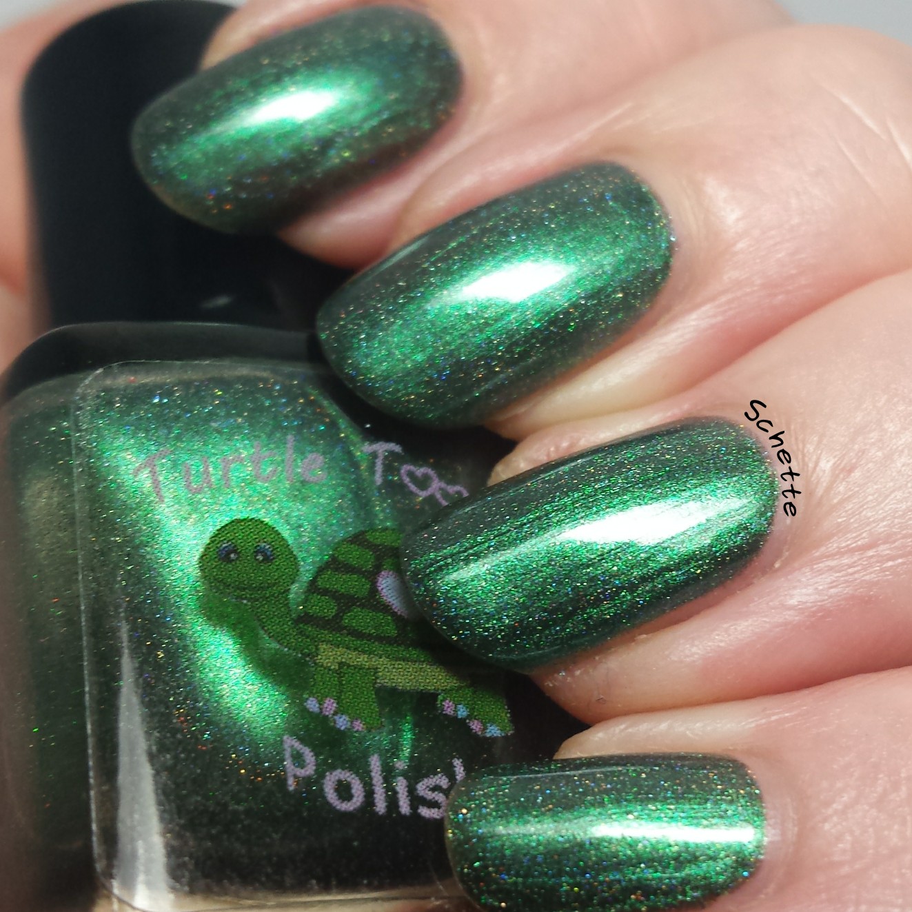 Turtle Tootsie Polish : Lot Lizard, Hemorrhage