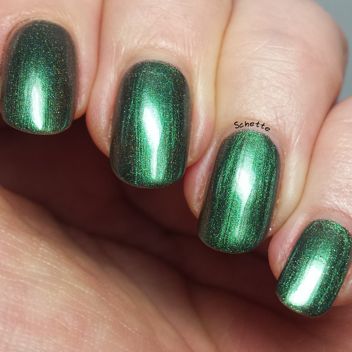 Turtle Tootsie Polish : Lot Lizard, Hemorrhage