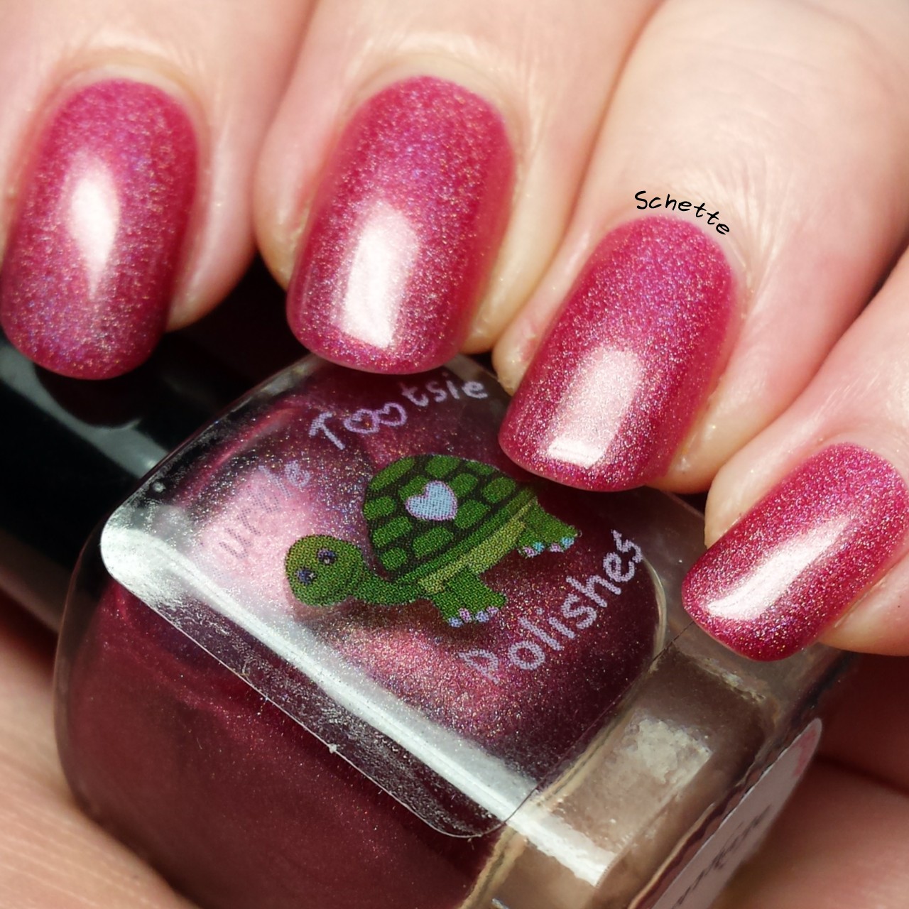 Turtle Tootsie Polish : Lot Lizard, Hemorrhage