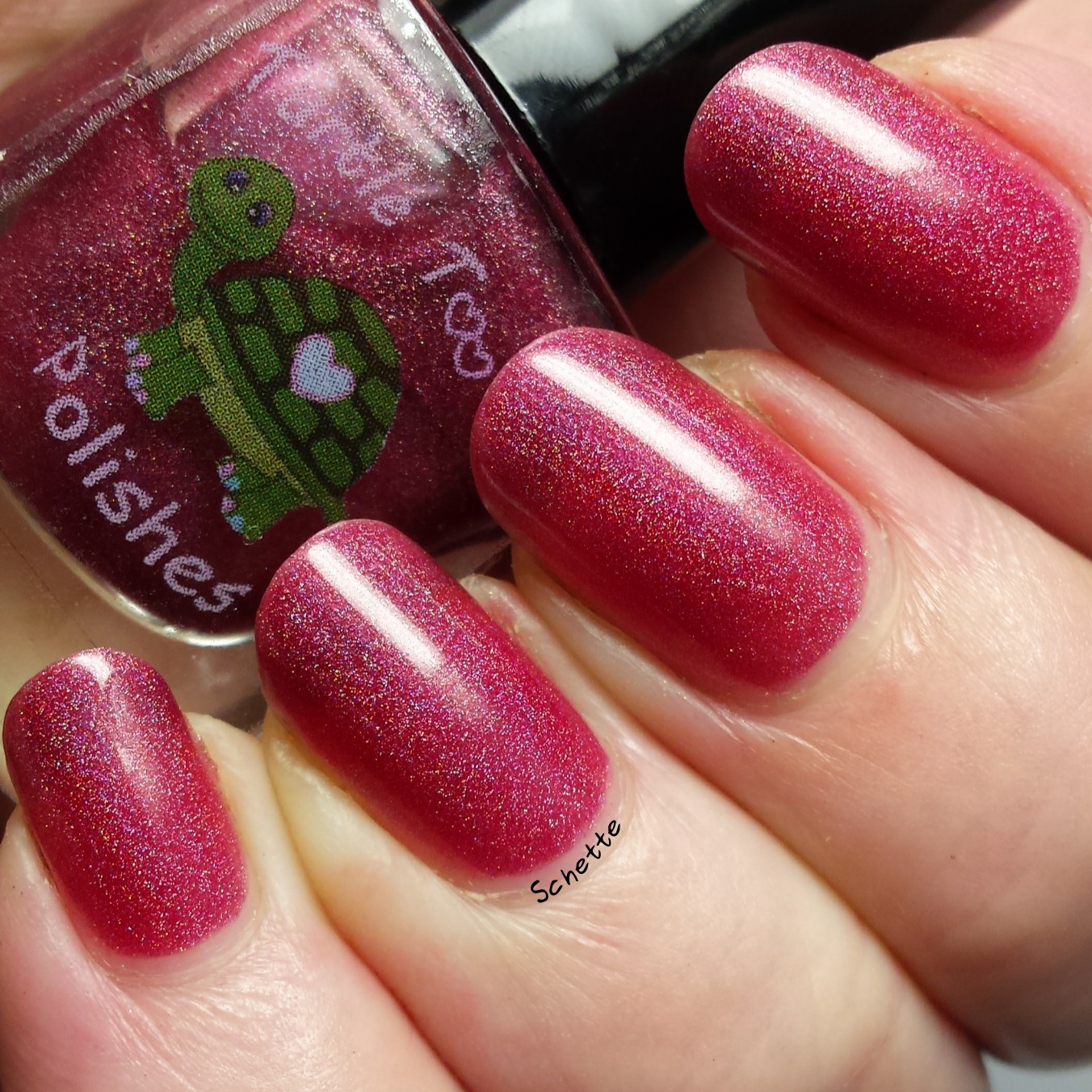 Turtle Tootsie Polish : Lot Lizard, Hemorrhage