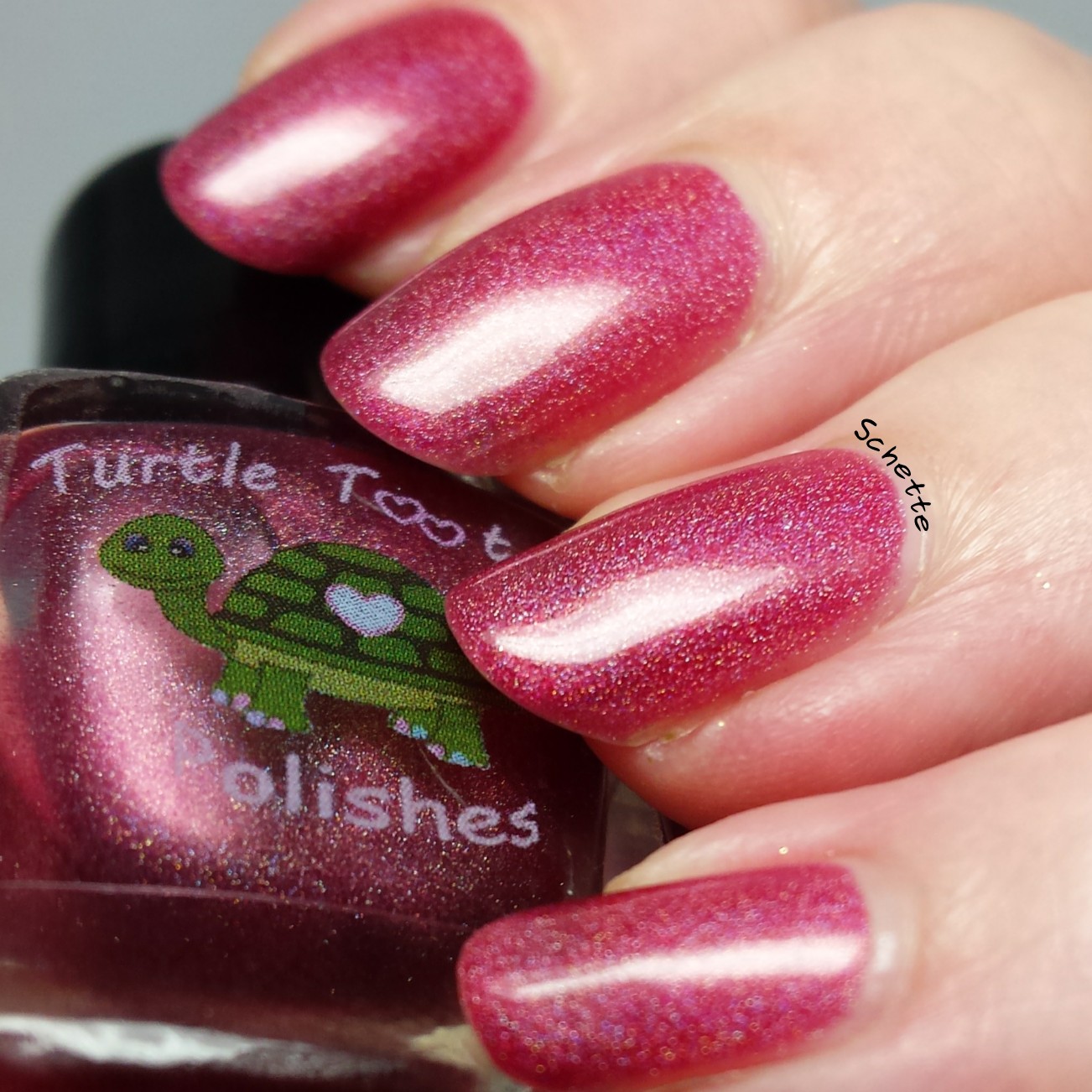 Turtle Tootsie Polish : Lot Lizard, Hemorrhage