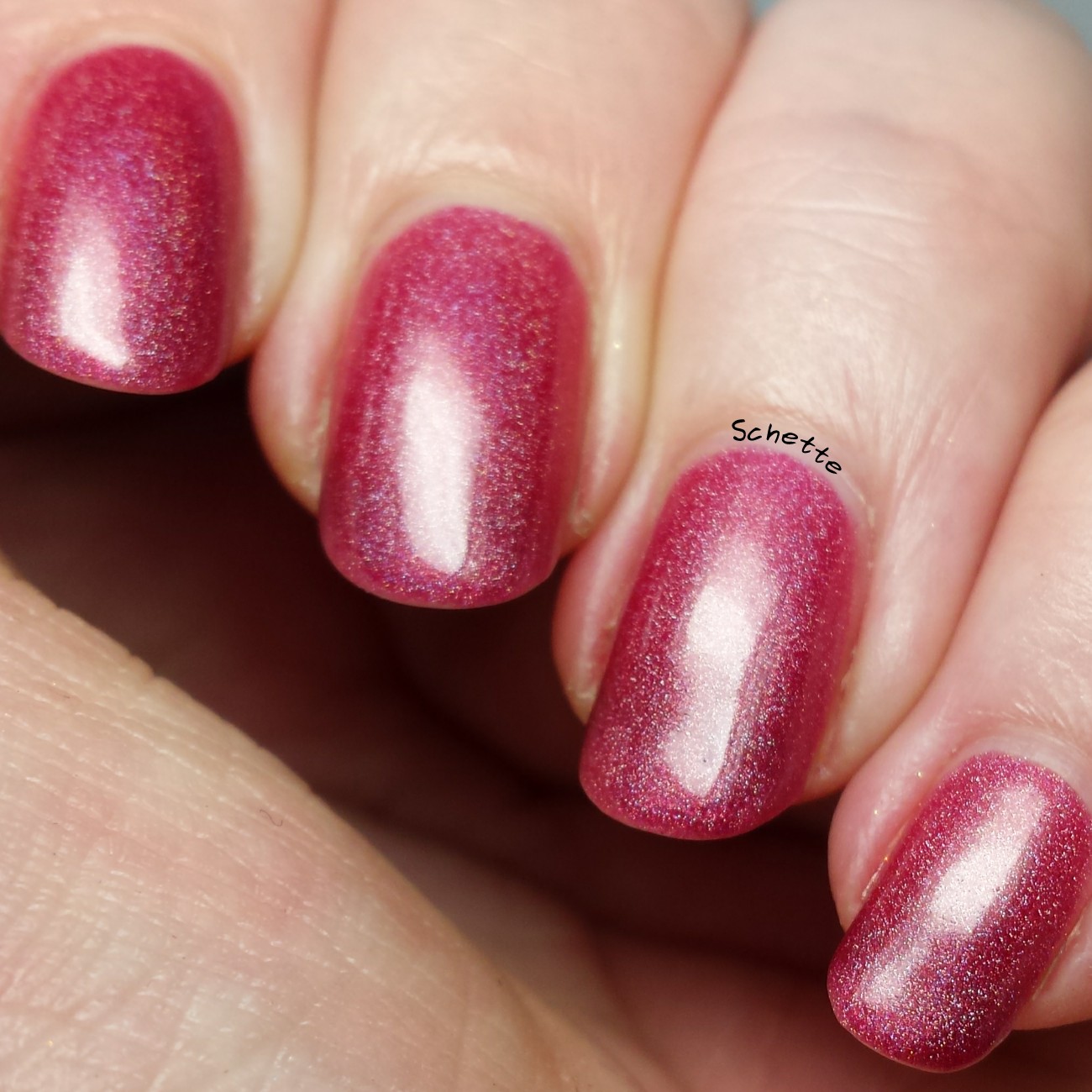 Turtle Tootsie Polish : Lot Lizard, Hemorrhage