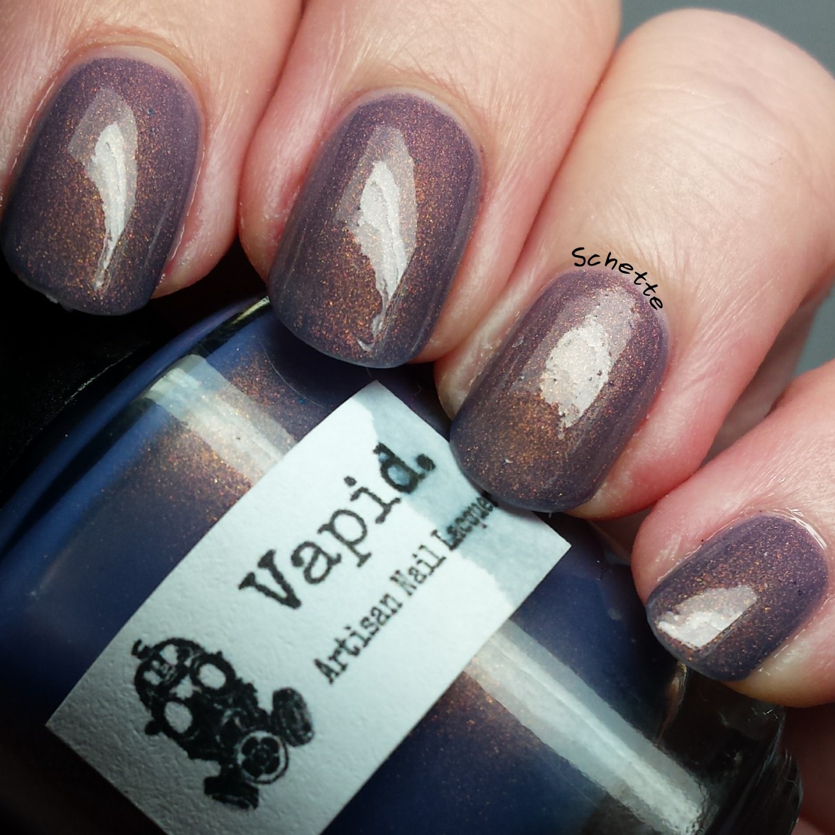 Vapid Lacquer : Sweaters N'Denim