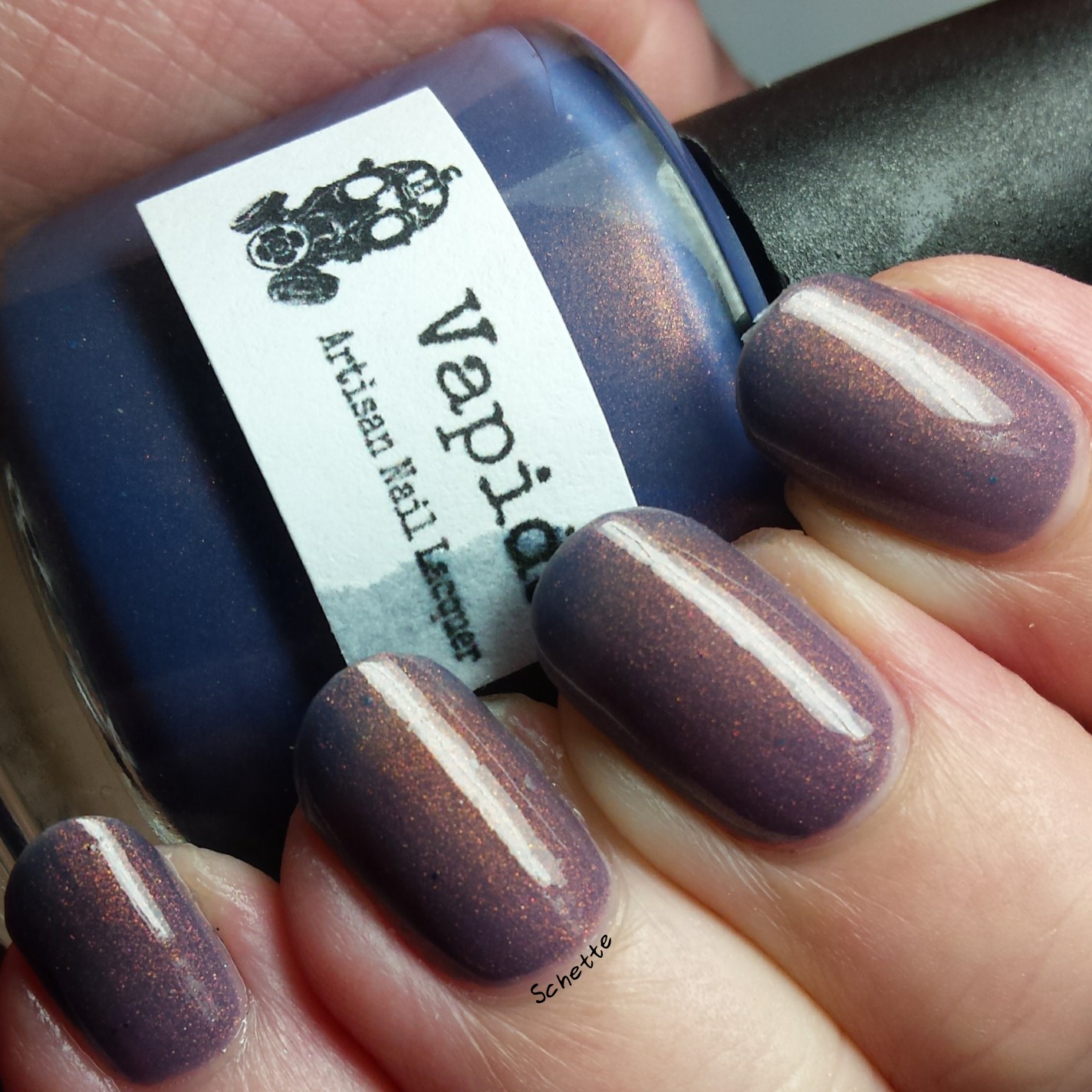 Vapid Lacquer : Sweaters N'Denim