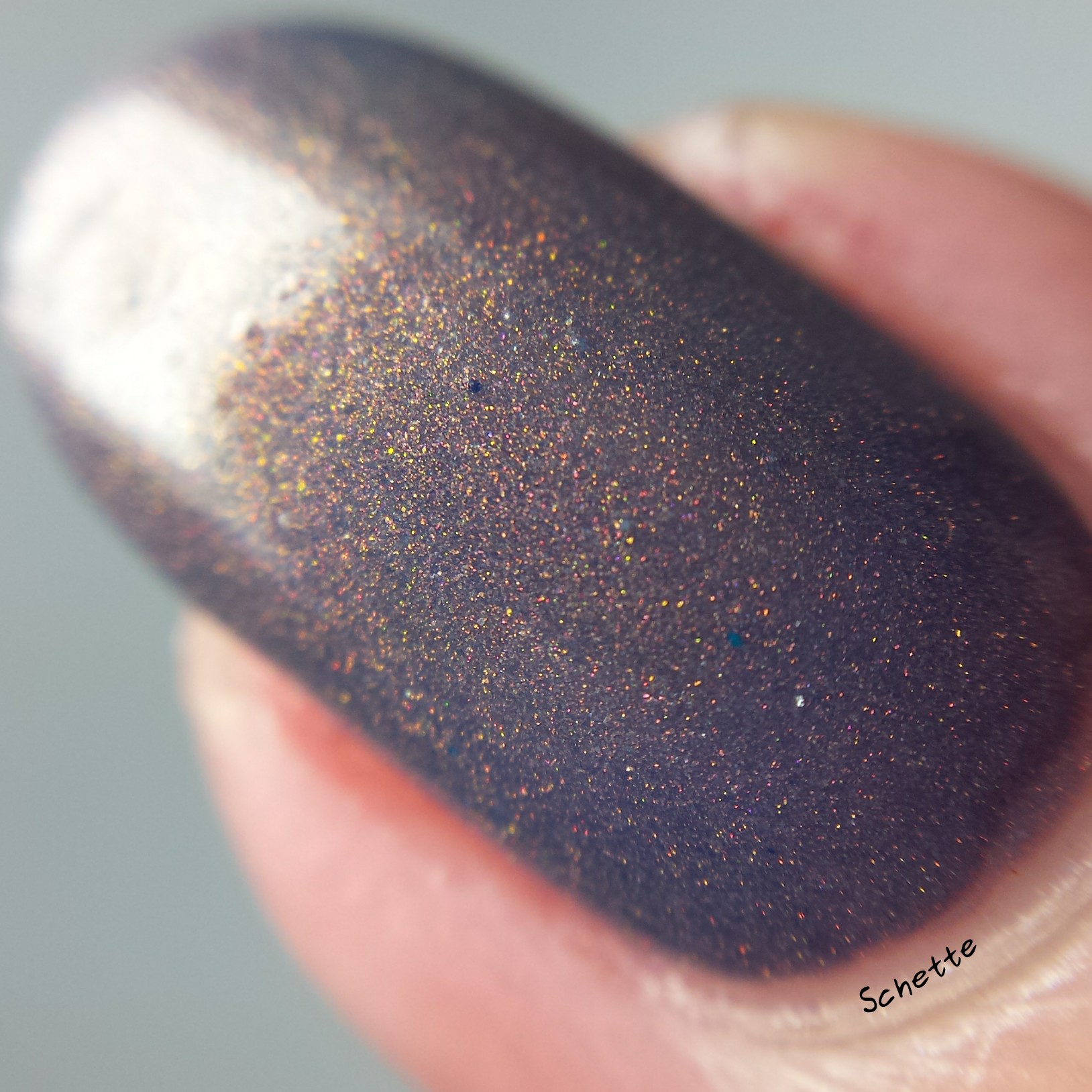 Vapid Lacquer : Sweaters N'Denim