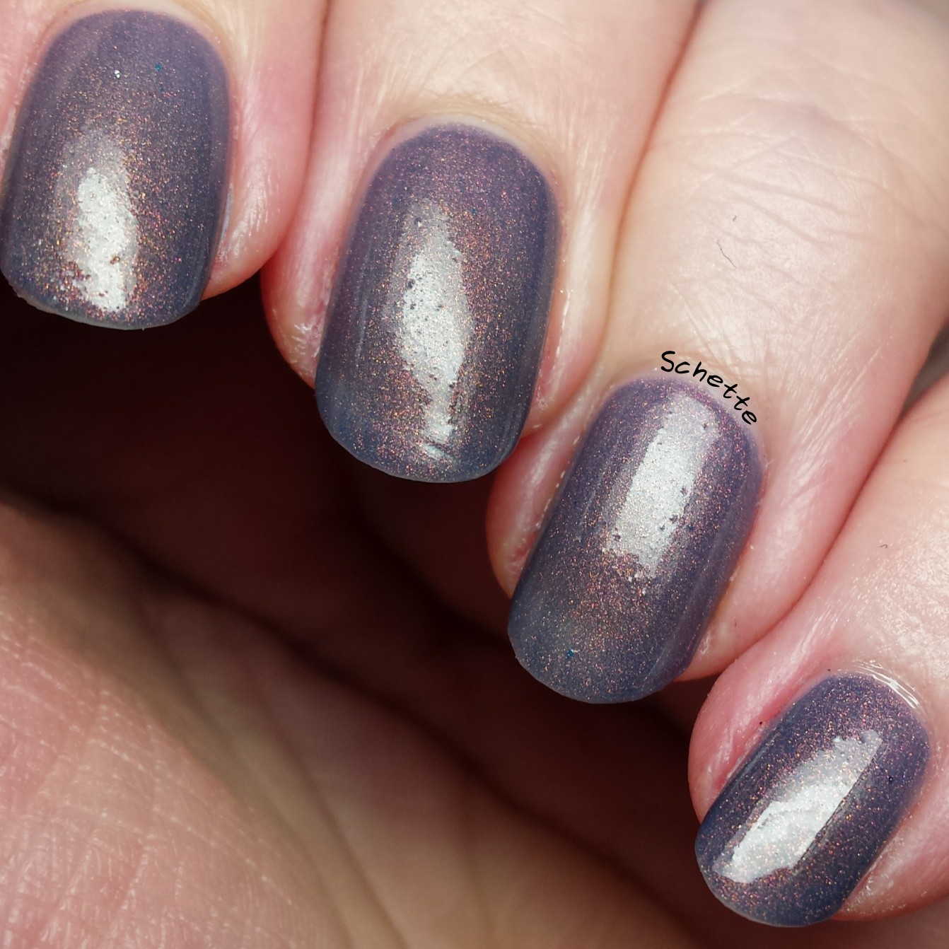 Vapid Lacquer : Sweaters N'Denim