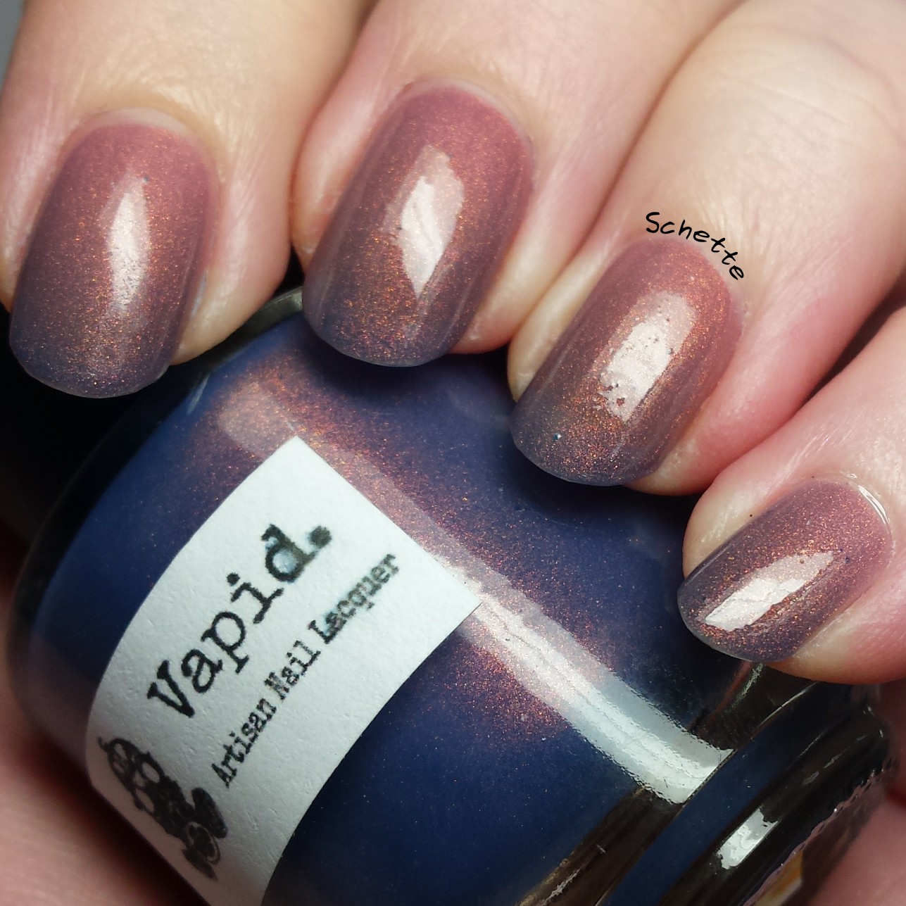 Vapid Lacquer : Sweaters N'Denim