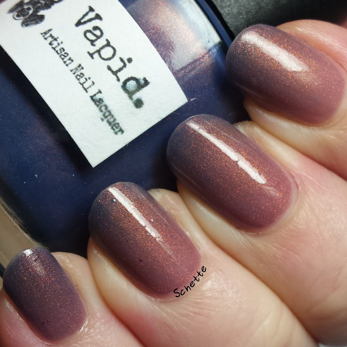 Vapid Lacquer : Sweaters N'Denim