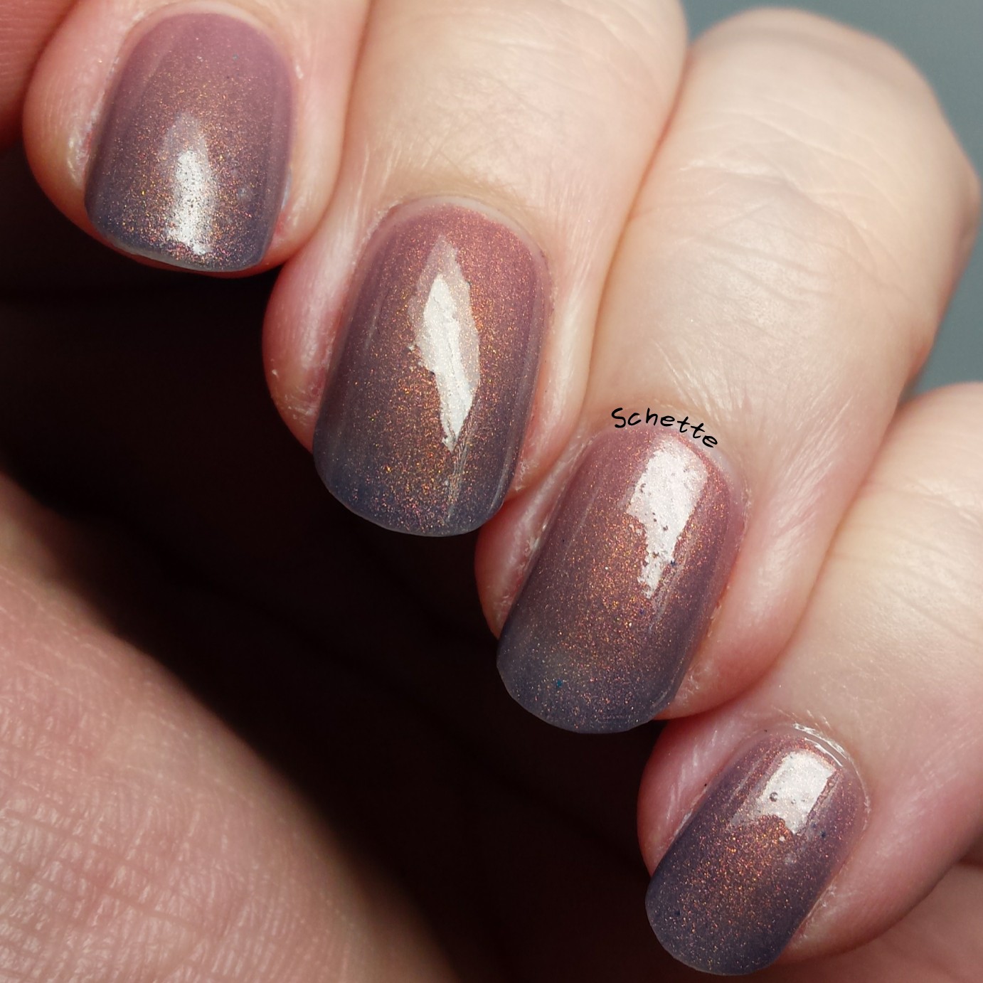 Vapid Lacquer : Sweaters N'Denim