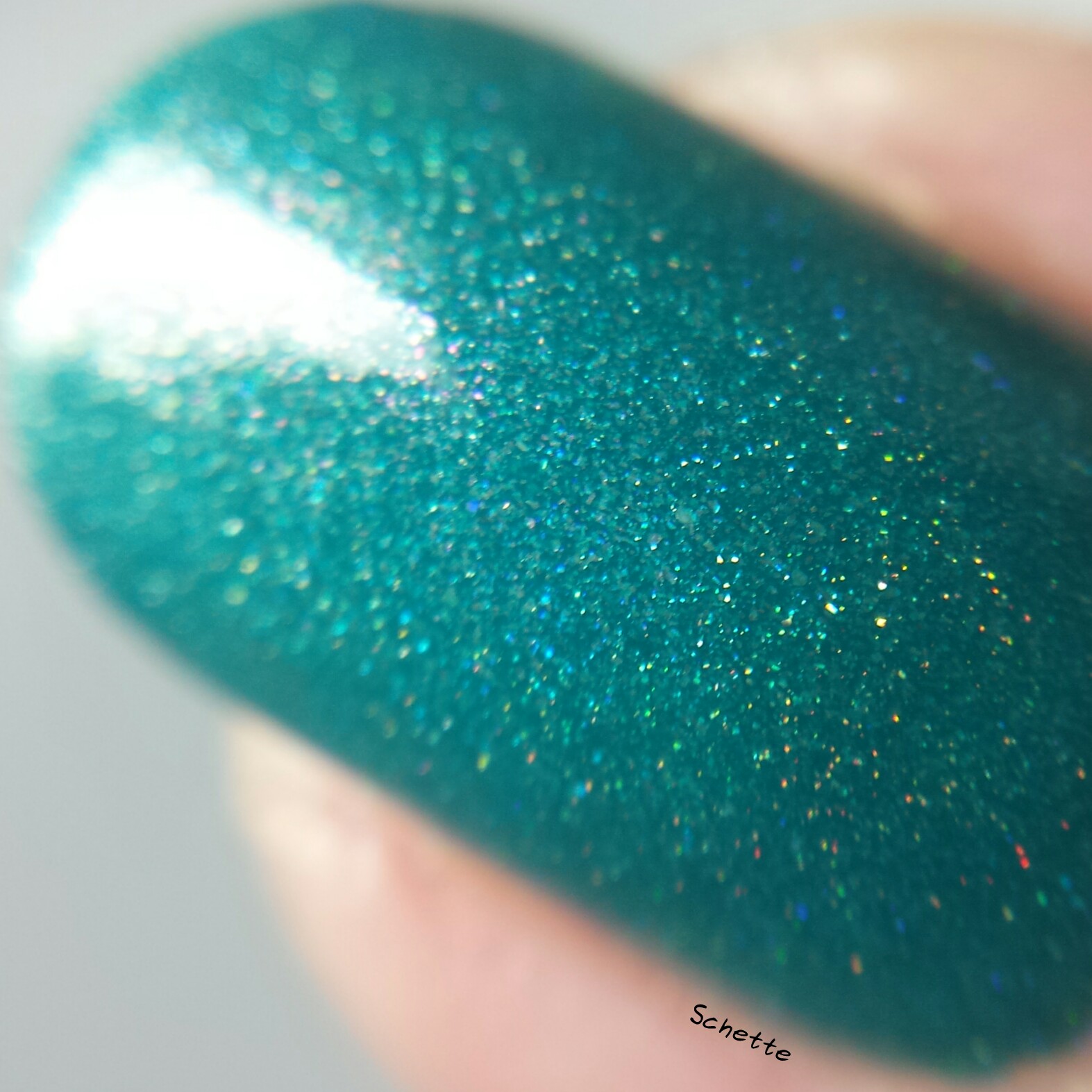 Eat Sleep Polish : Doris the Dorado