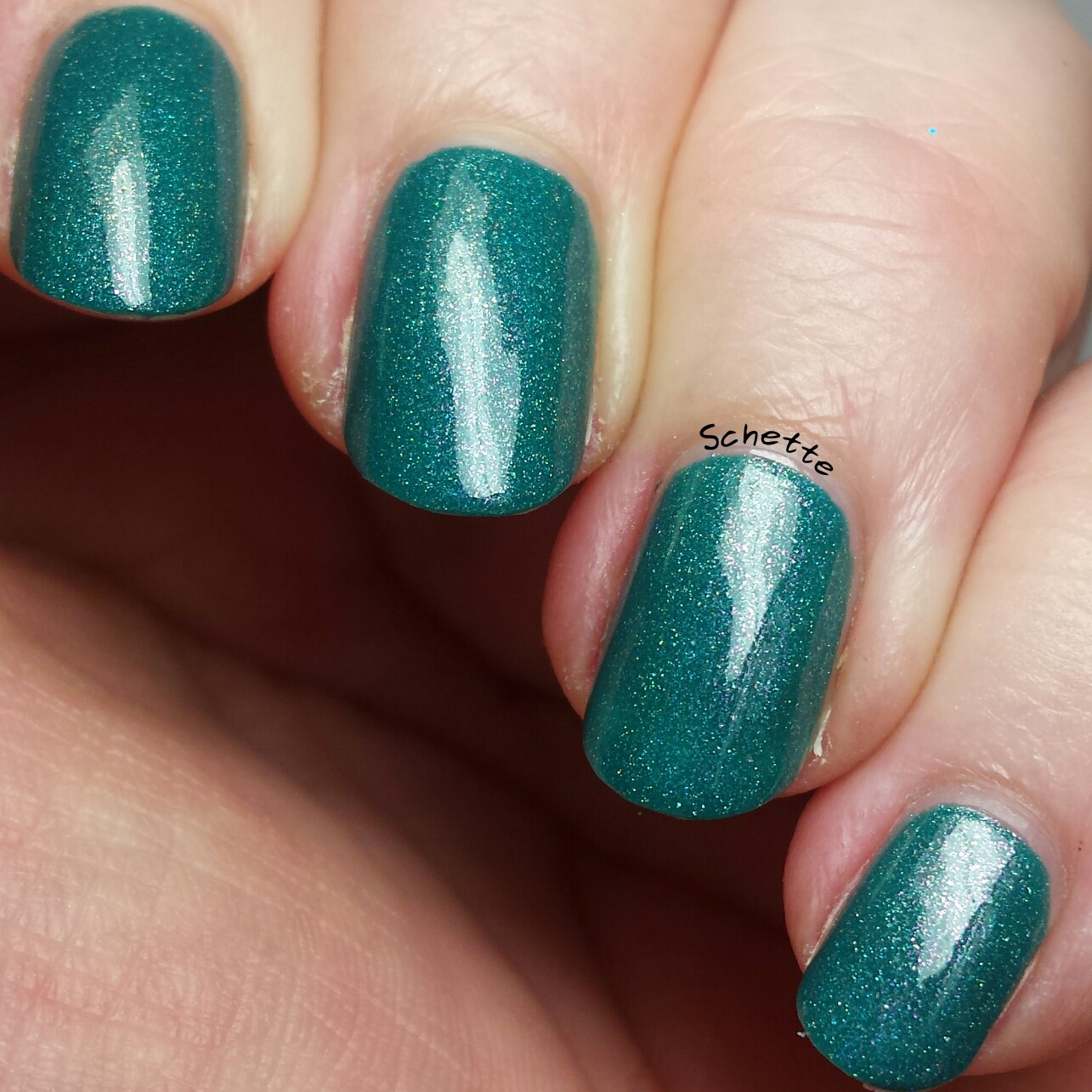 Eat Sleep Polish : Doris the Dorado