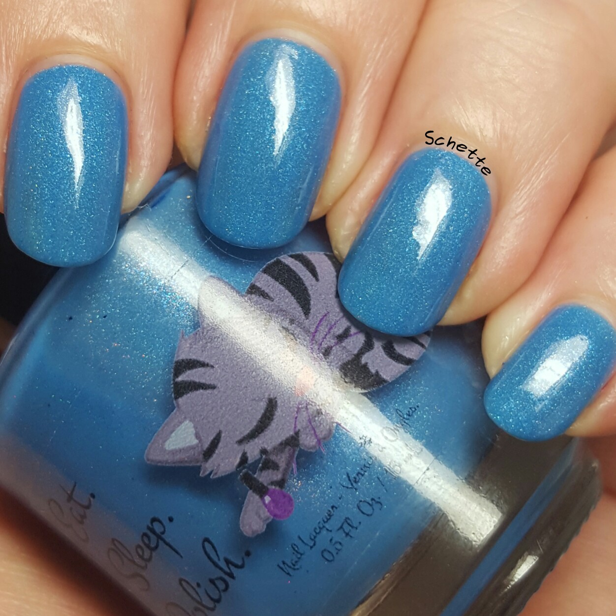 Eat Sleep Polish : Perry the Parokeet