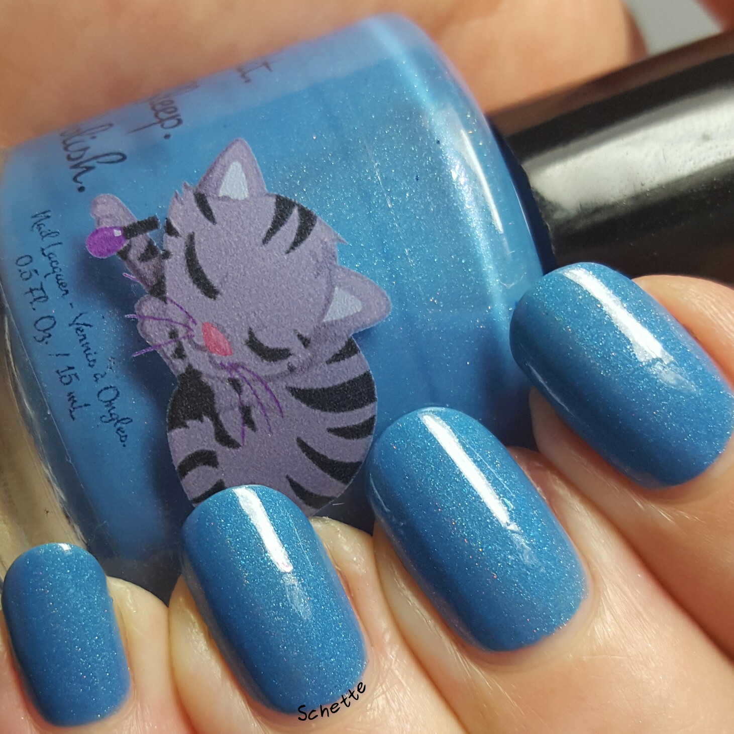 Eat Sleep Polish : Perry the Parokeet
