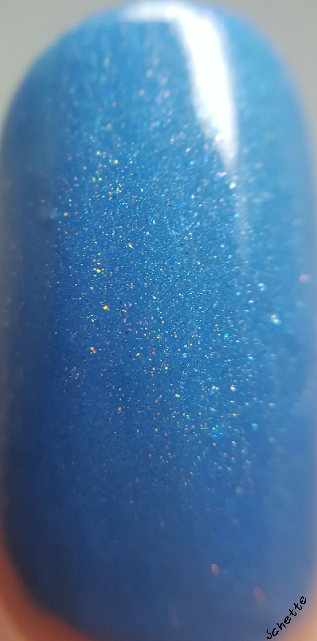 Eat Sleep Polish : Perry the Parokeet