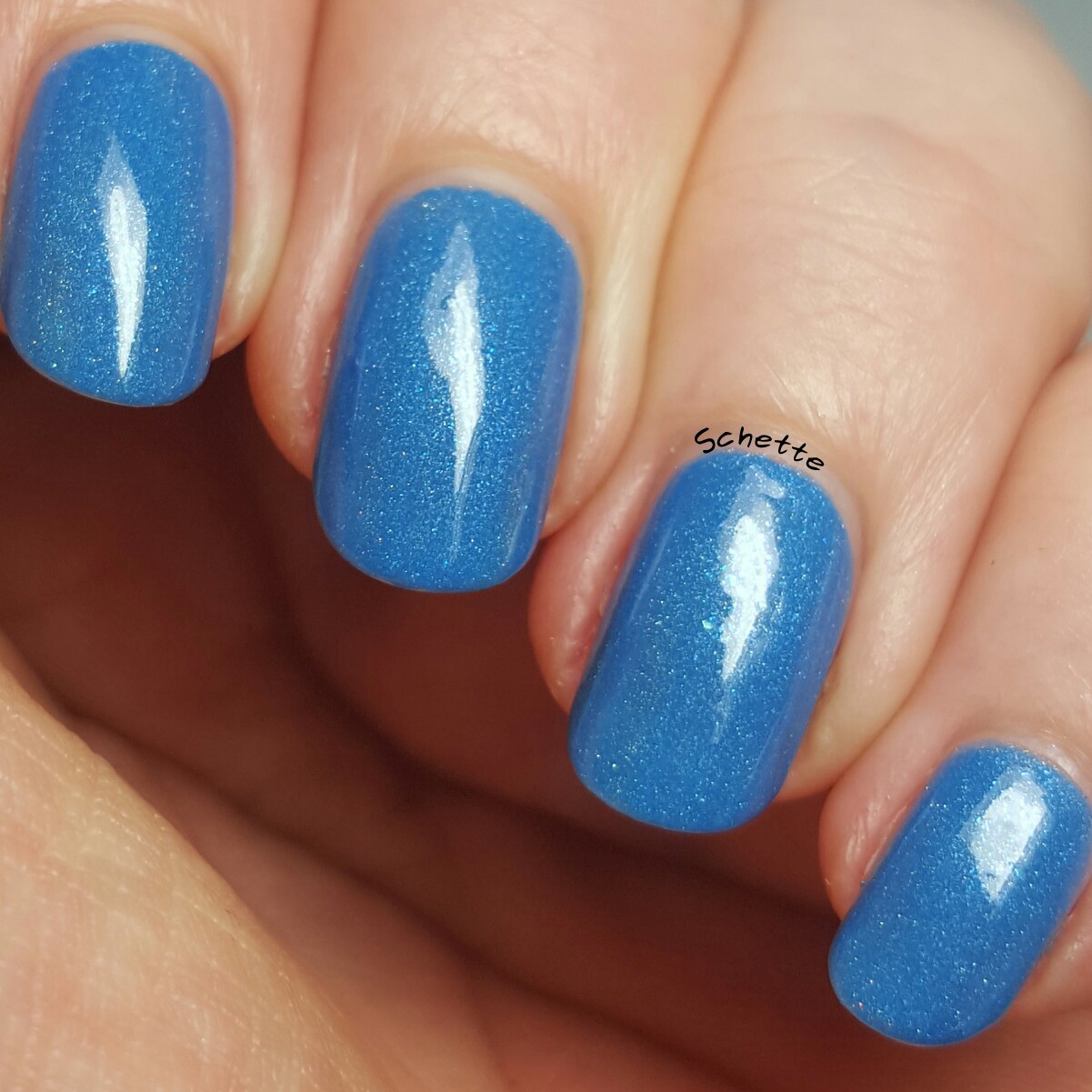 Eat Sleep Polish : Perry the Parokeet