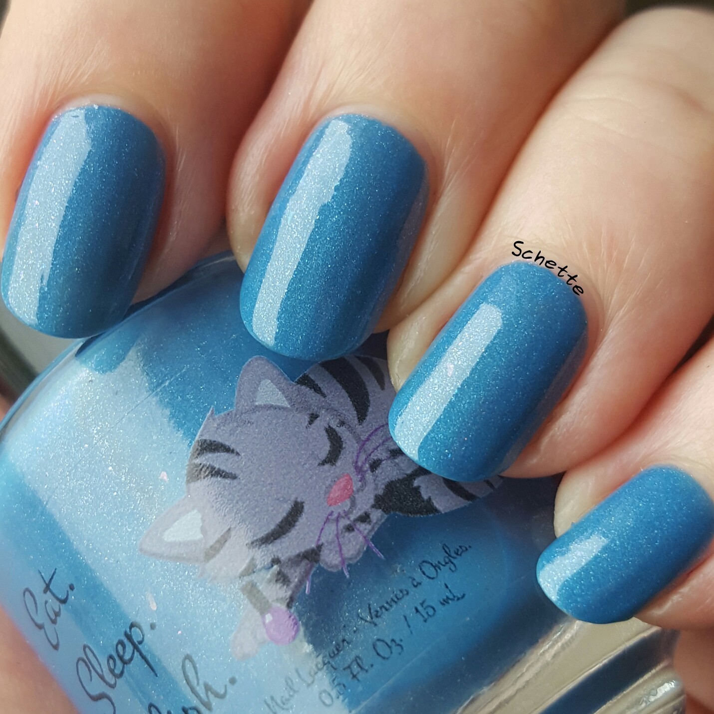 Eat Sleep Polish : Perry the Parokeet