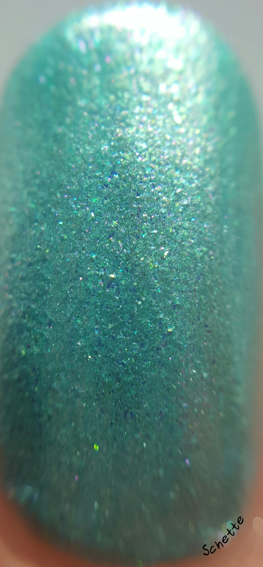 Nail Hoot : Pacific Dream