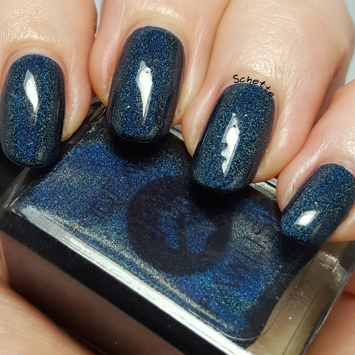 Bear Polish : Bigger on the inside