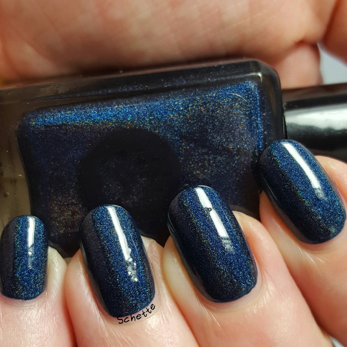 Bear Polish : Bigger on the inside