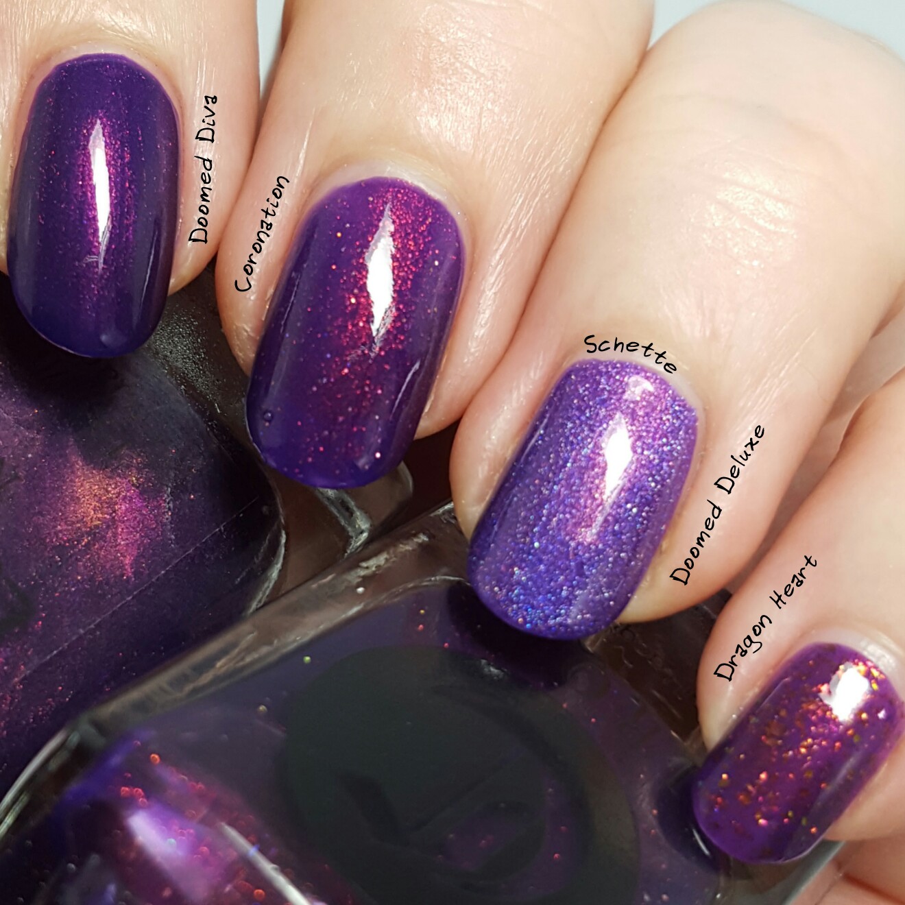 Cirque Coronation comparison with purple Lacquester