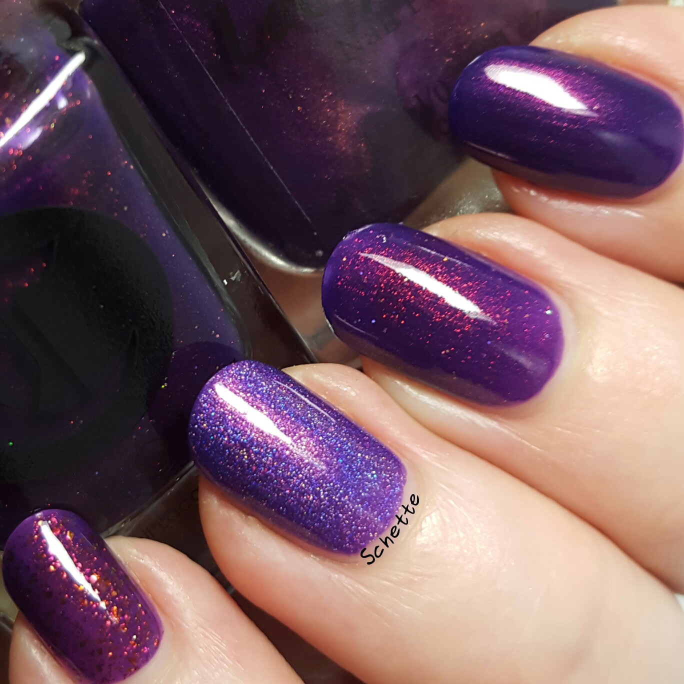 Cirque Coronation comparison with purple Lacquester