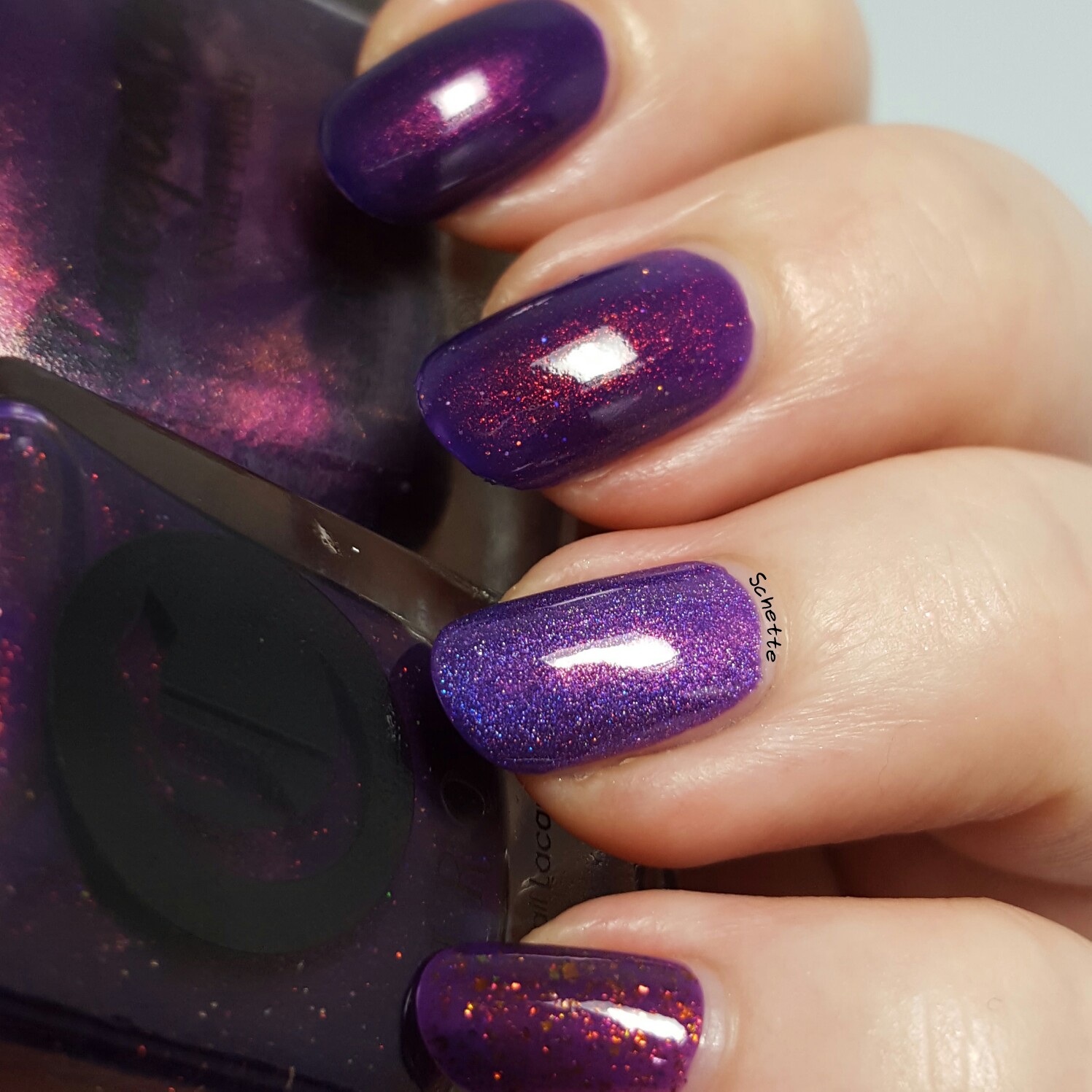 Cirque Coronation comparison with purple Lacquester
