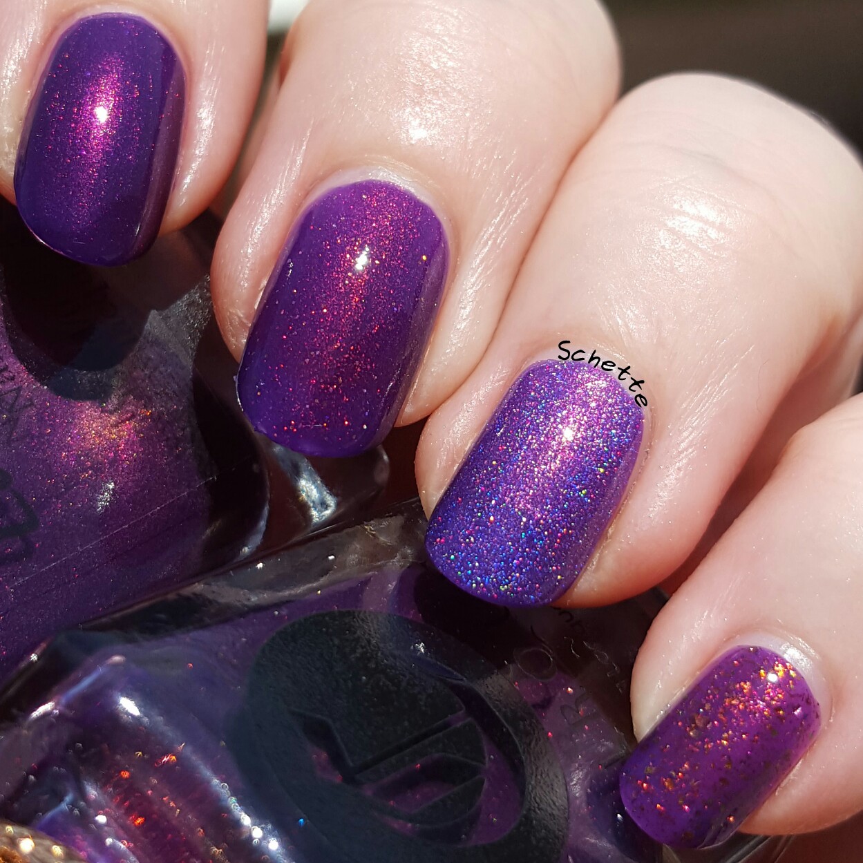 Cirque Coronation comparison with purple Lacquester