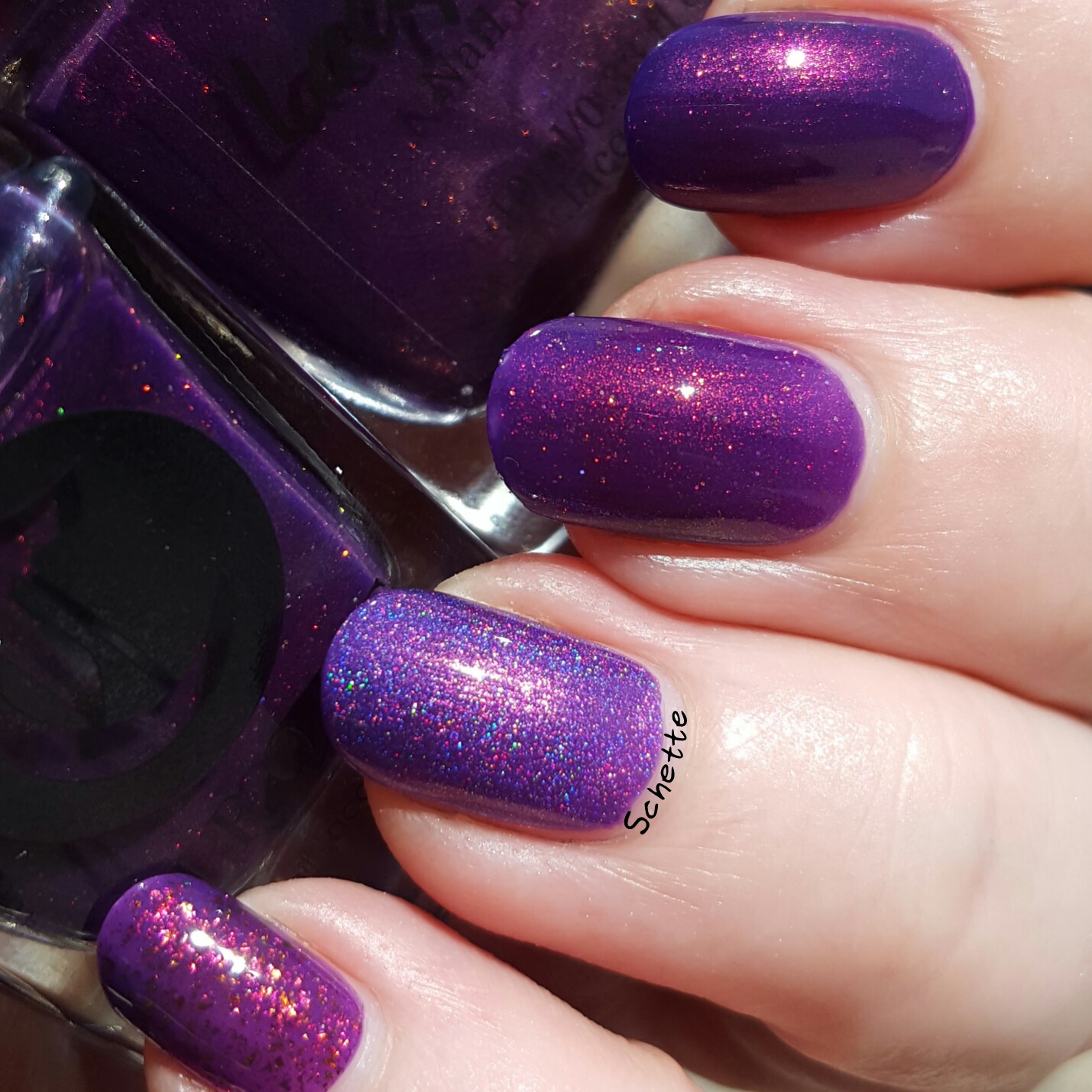Cirque Coronation comparison with purple Lacquester