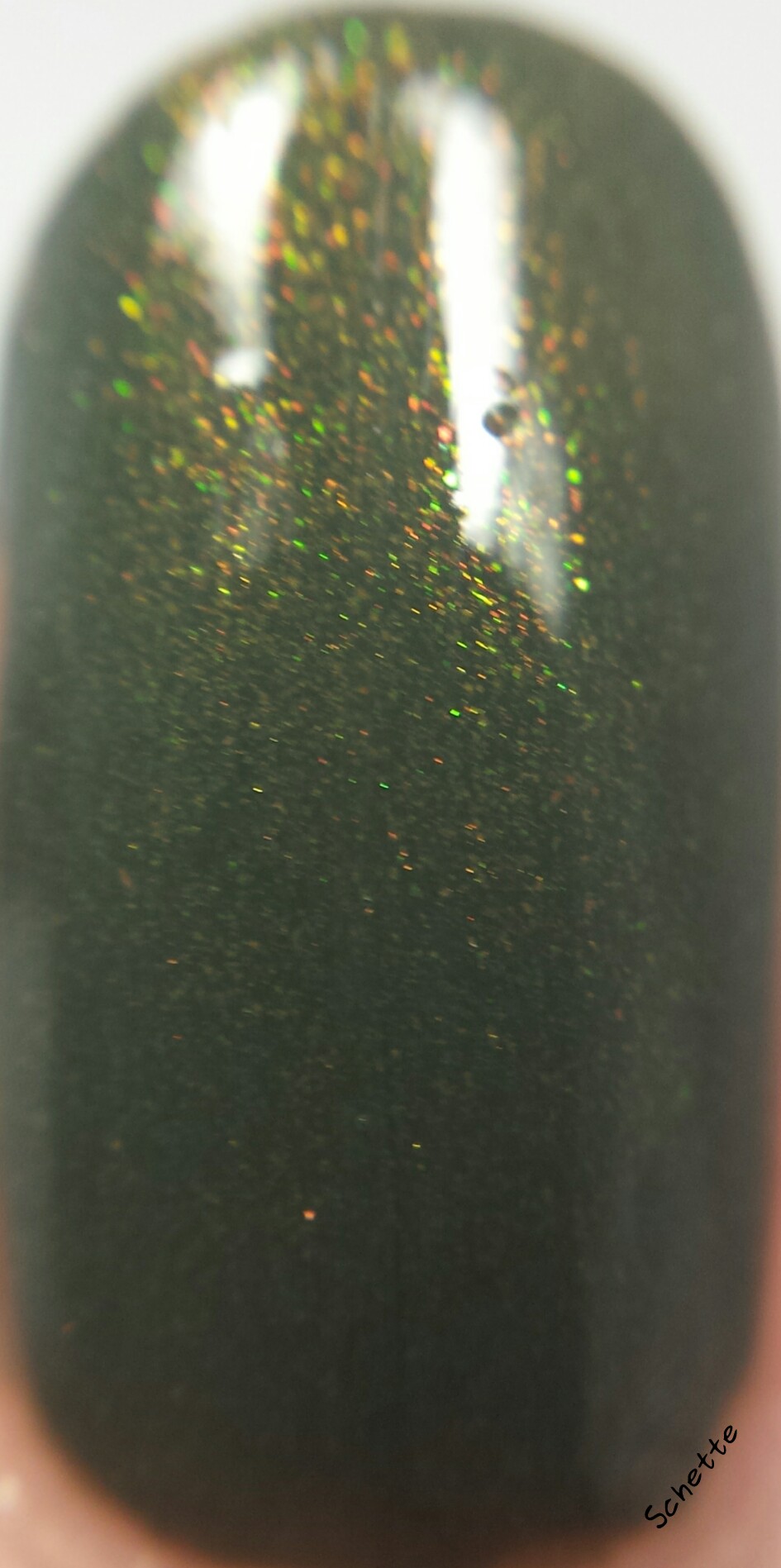 Enchanted Polish : Garland