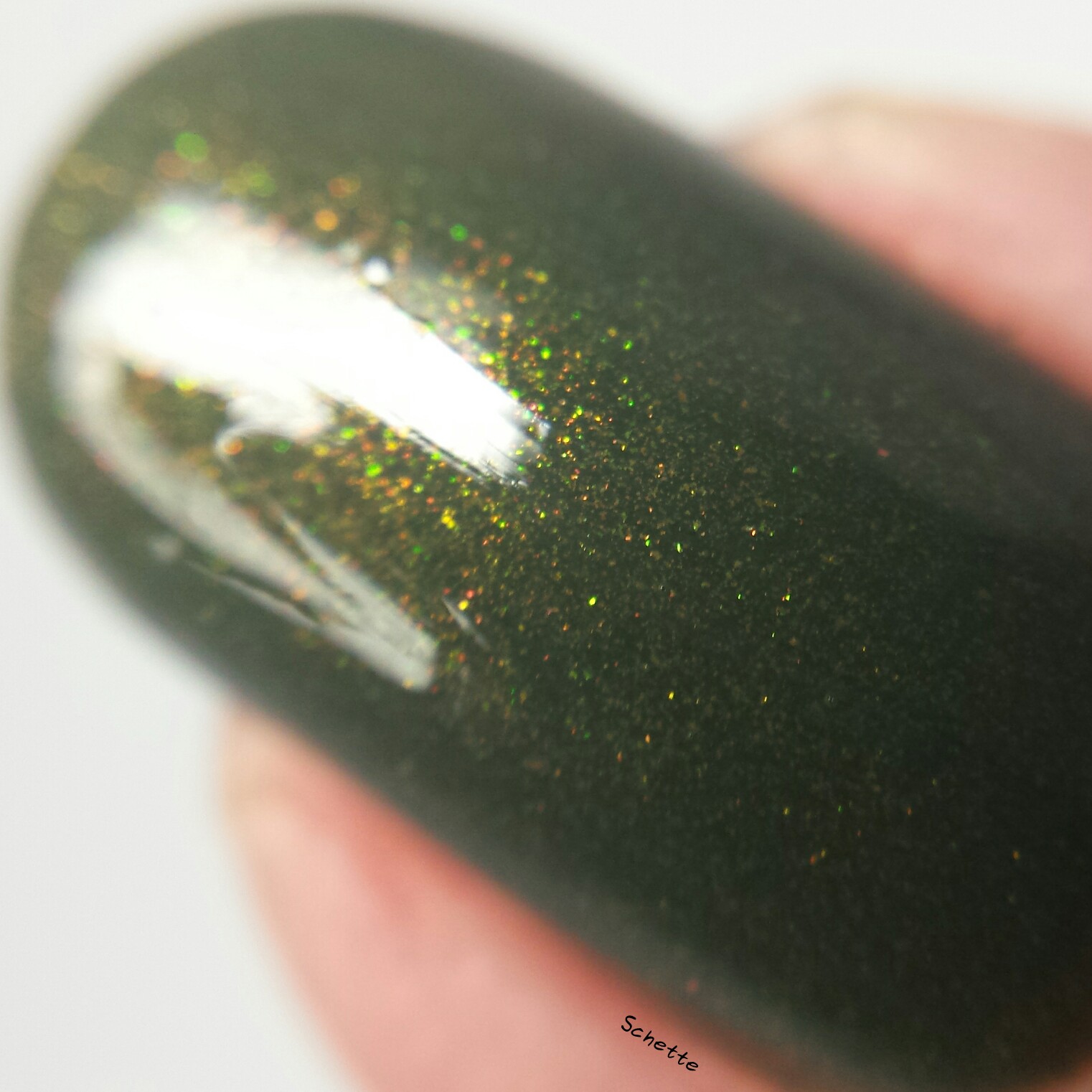 Enchanted Polish : Garland