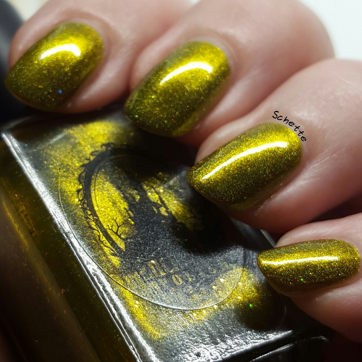 Enchanted Polish : Magic Apple Cider