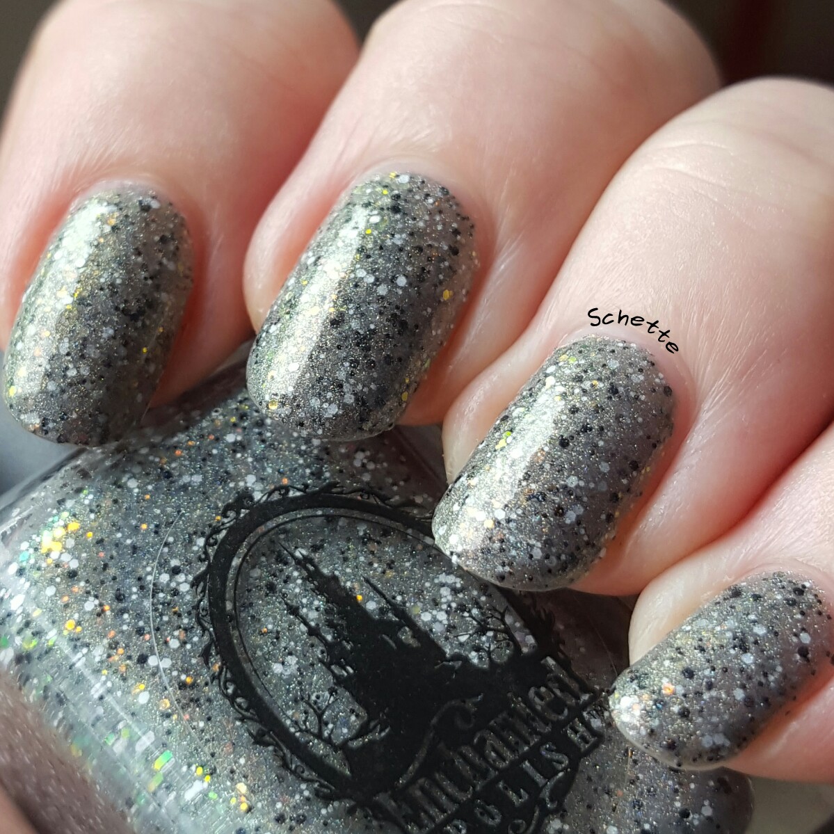 Enchanted Polish : Prismatic Static