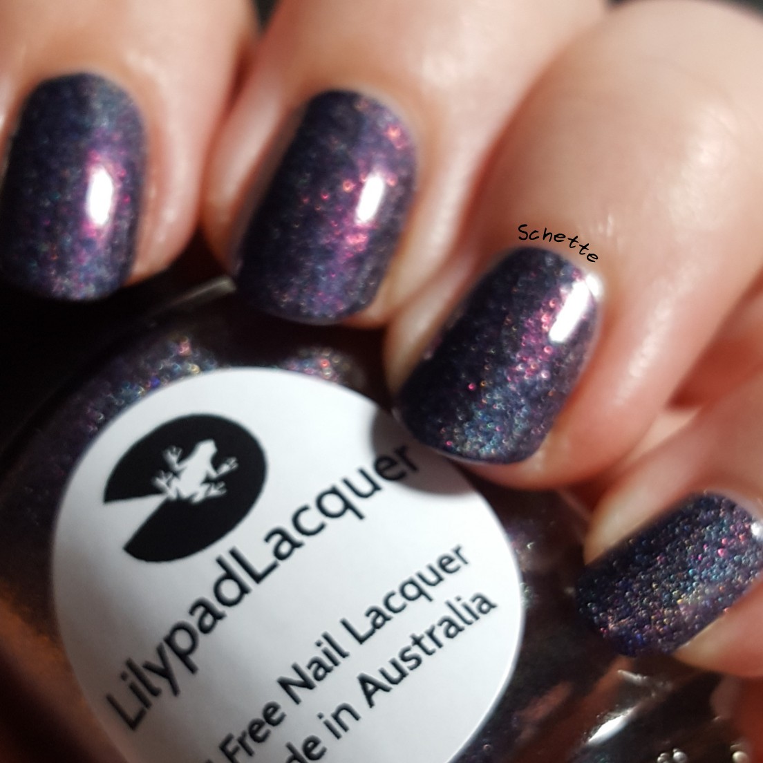 Lilypad Lacquer - Eternal