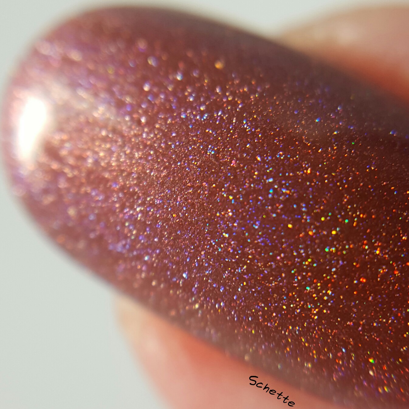 Lilypad Lacquer: Mudpie