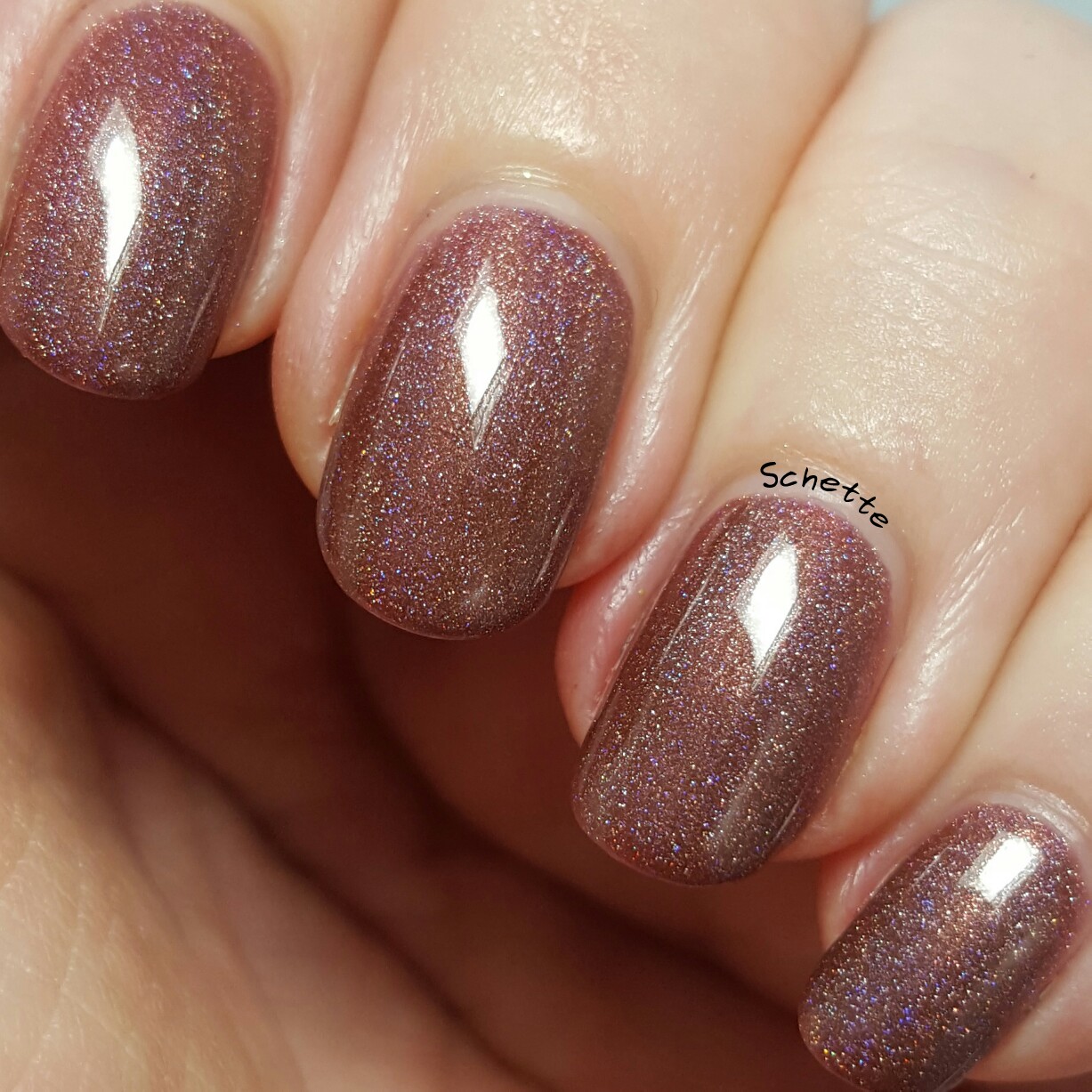 Lilypad Lacquer: Mudpie