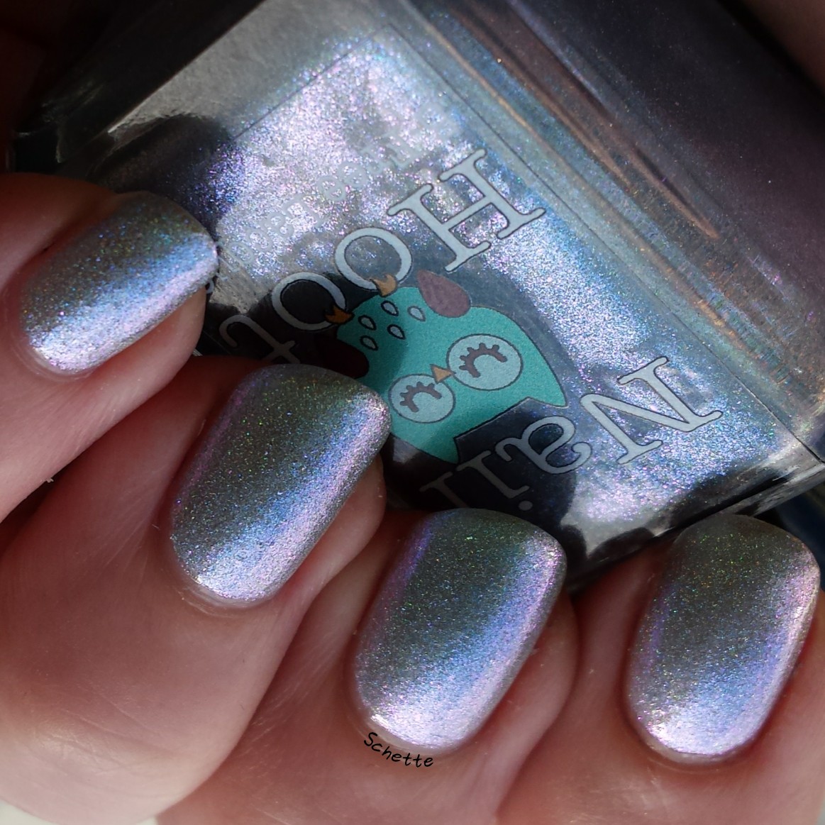 Nail Hoot : Bible Stories Collection