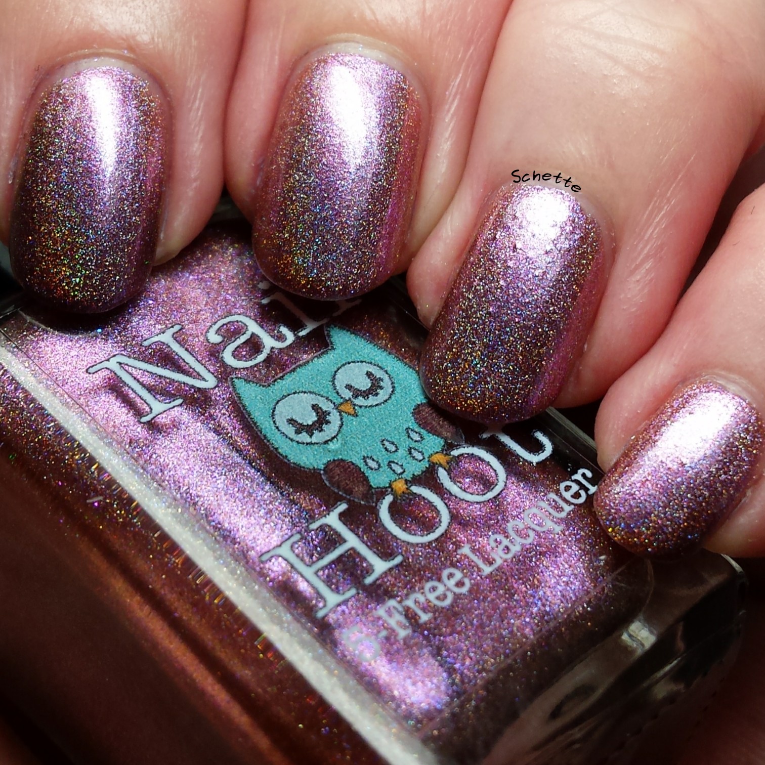 Nail Hoot : Bible Stories Collection