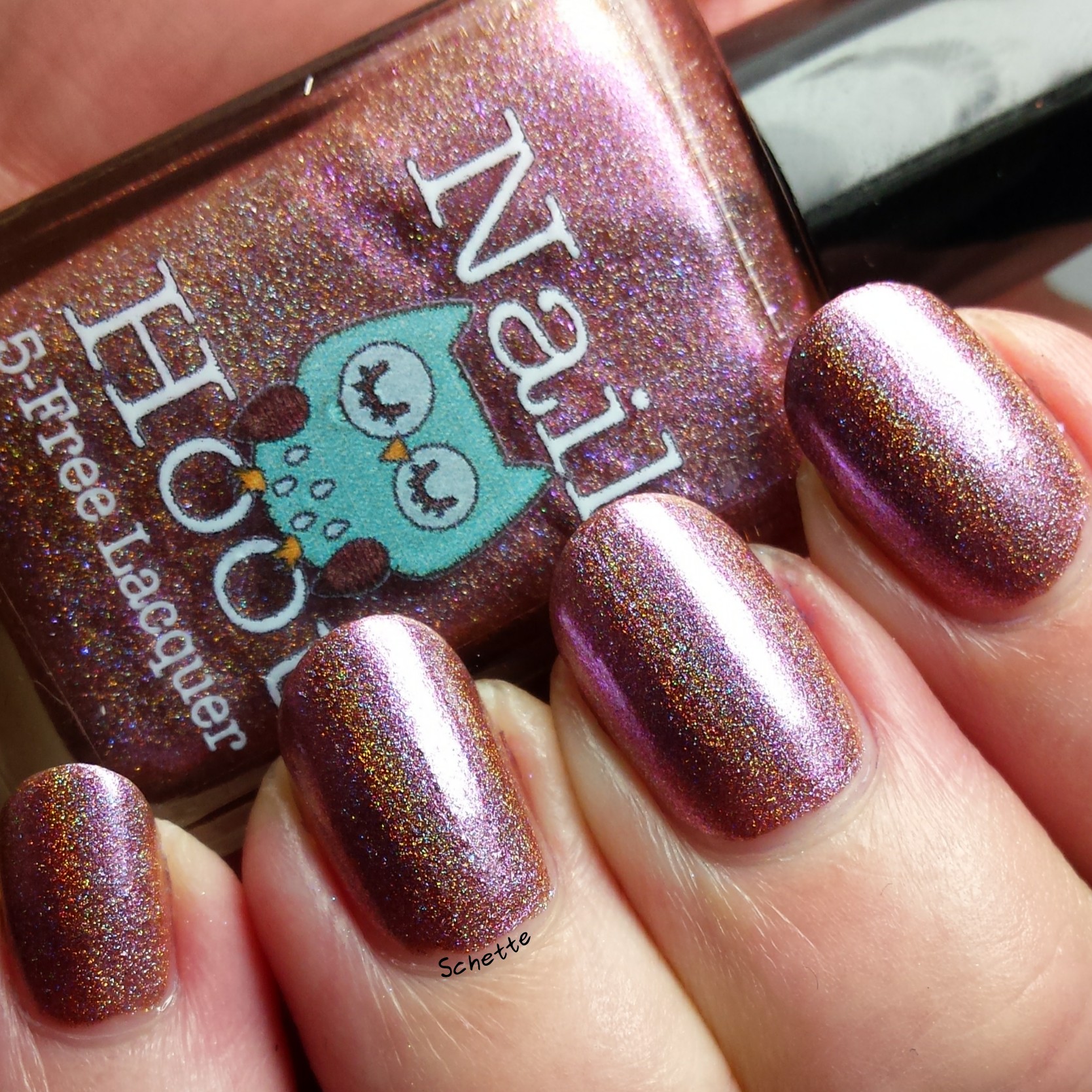 Nail Hoot : Bible Stories Collection