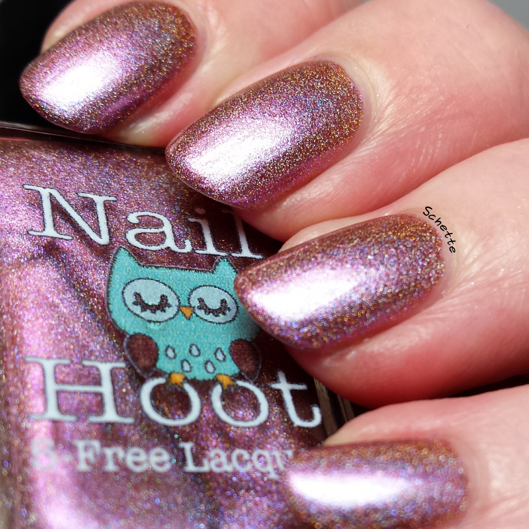 Nail Hoot : Bible Stories Collection