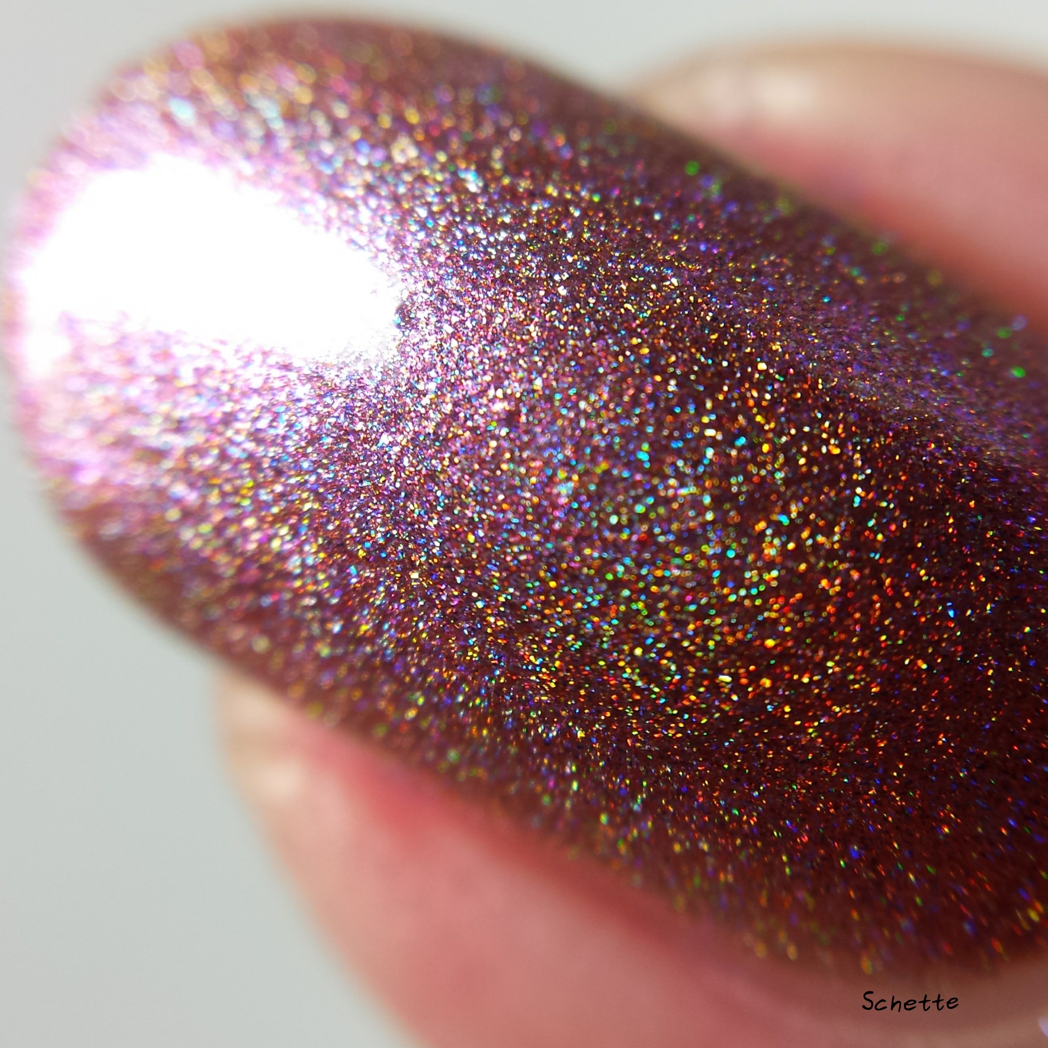 Nail Hoot : Bible Stories Collection