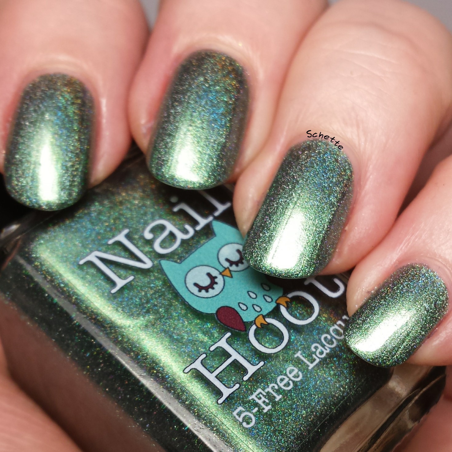 Nail Hoot : Bible Stories Collection