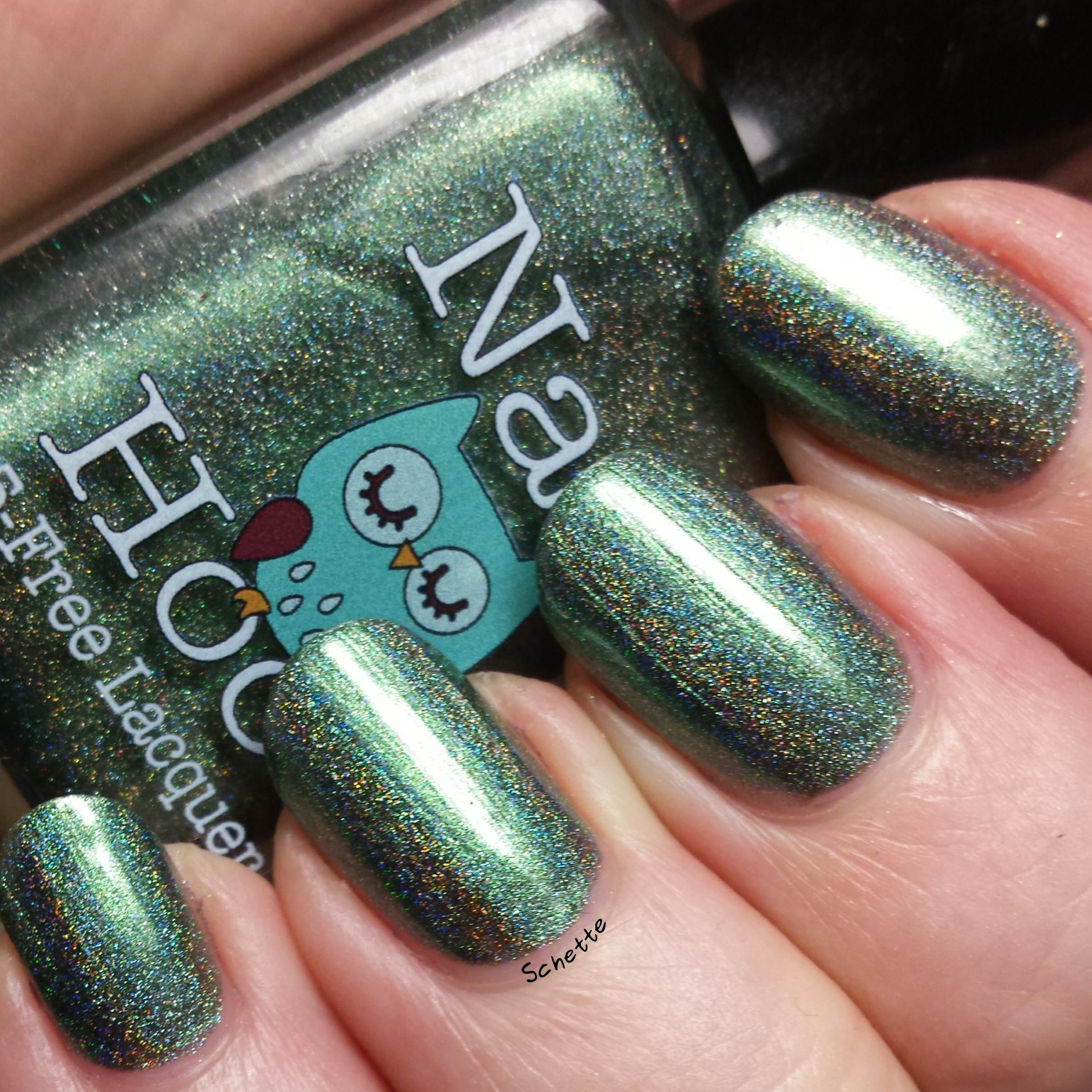 Nail Hoot : Bible Stories Collection