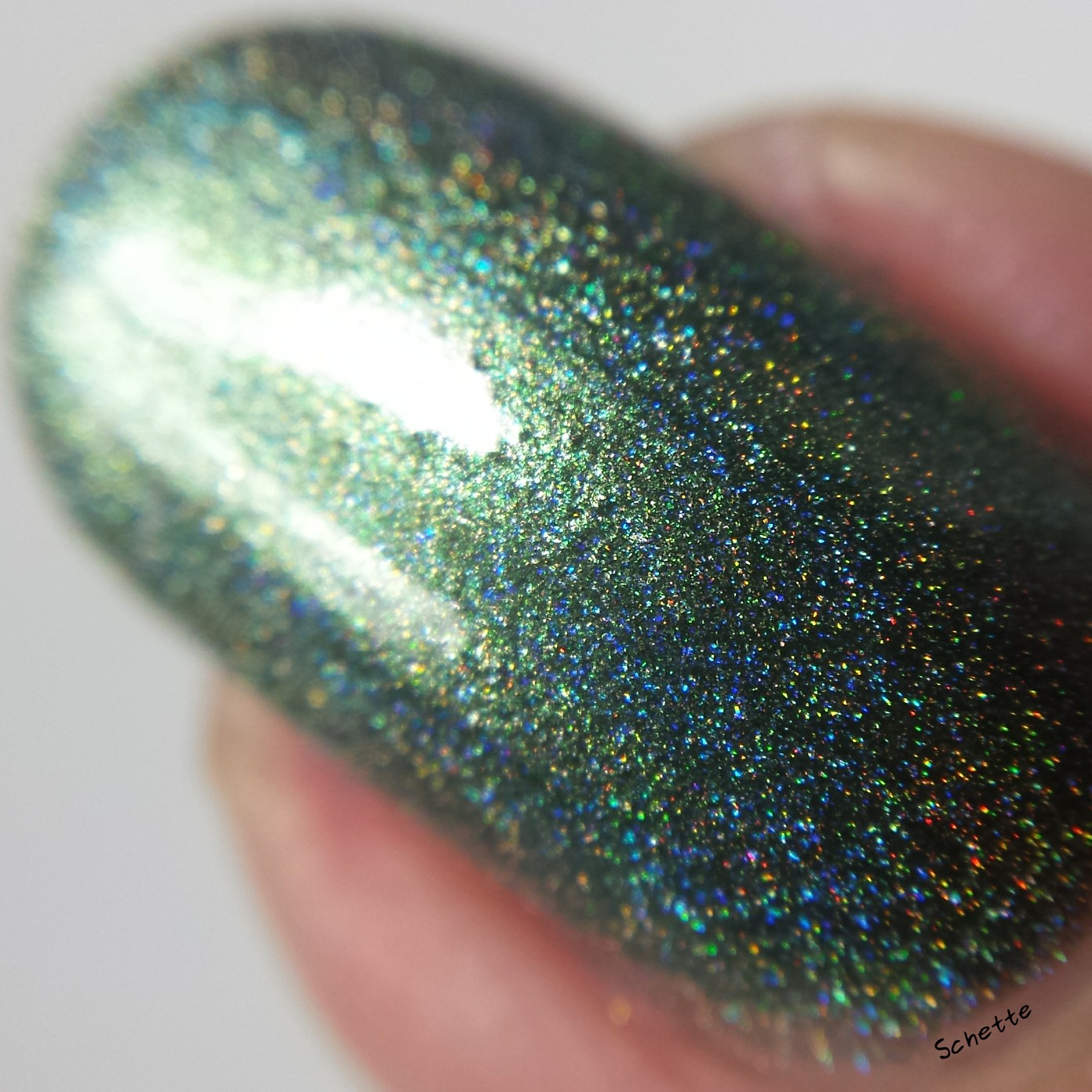Nail Hoot : Bible Stories Collection