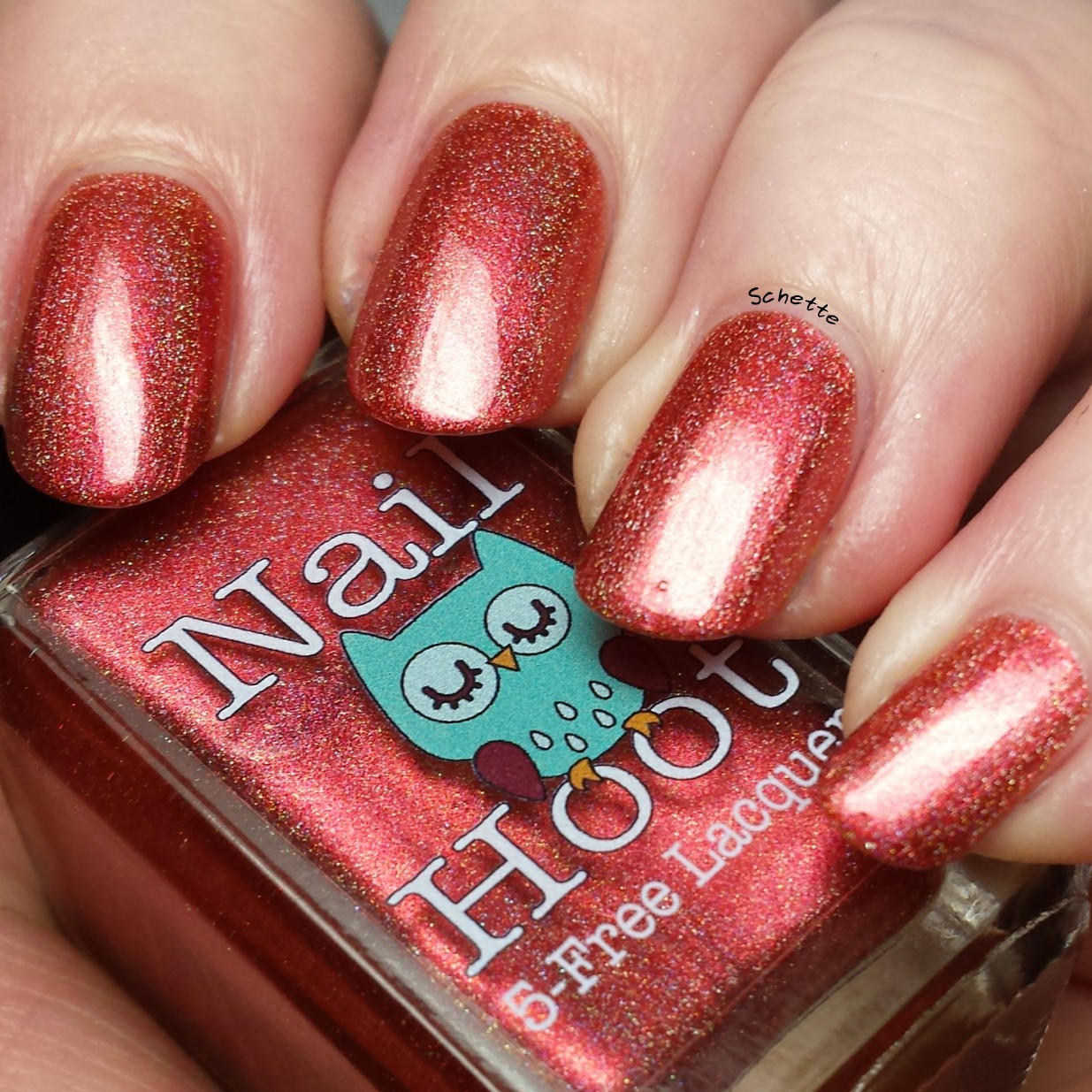 Nail Hoot : Bible Stories Collection
