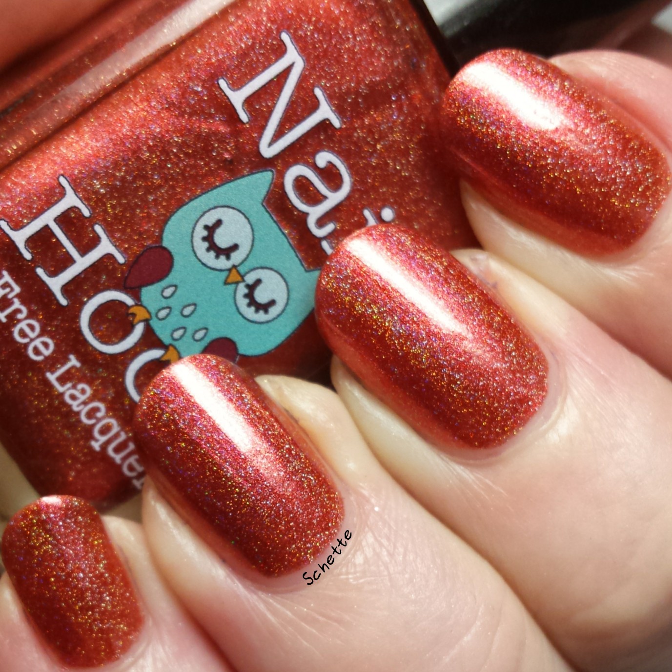 Nail Hoot : Bible Stories Collection