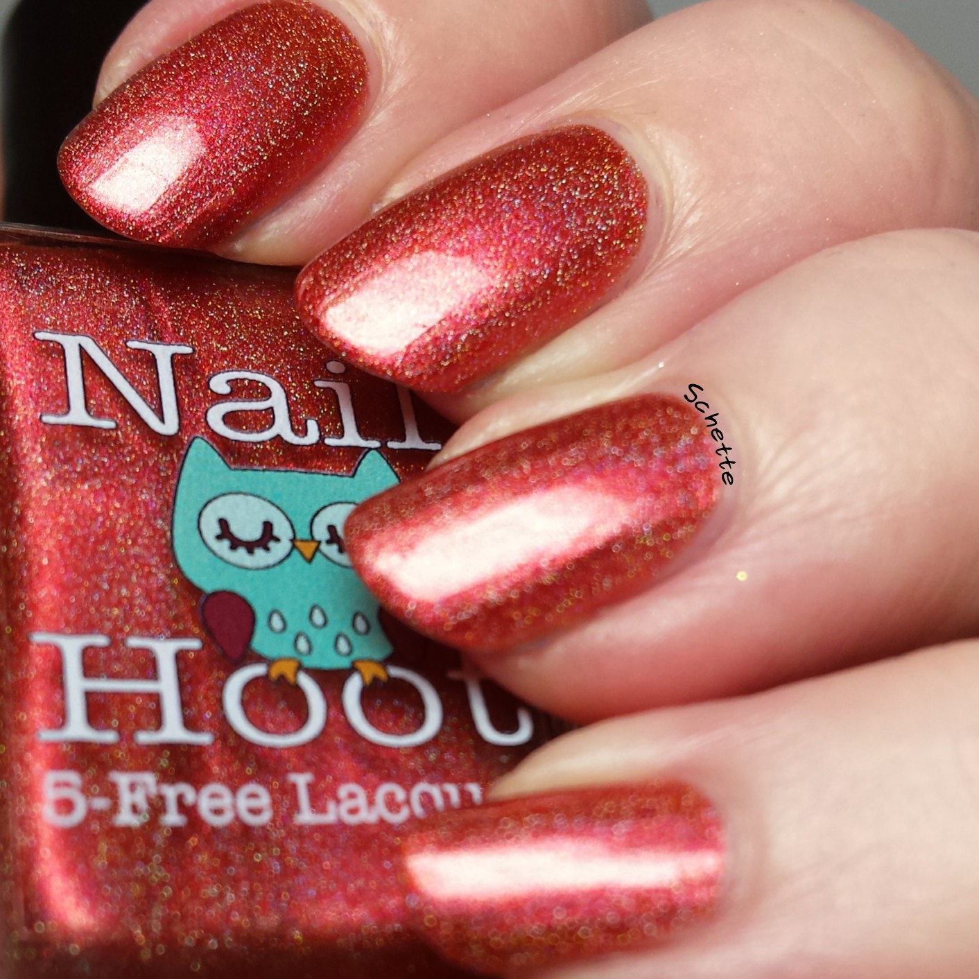 Nail Hoot : Bible Stories Collection