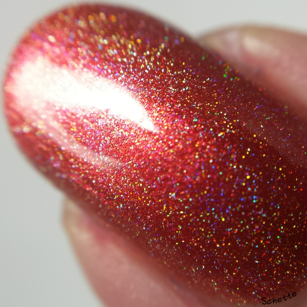 Nail Hoot : Bible Stories Collection