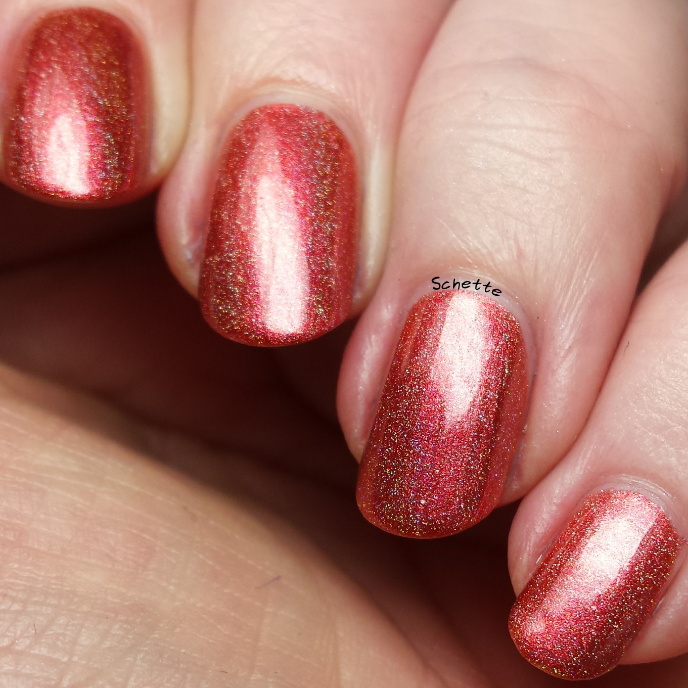 Nail Hoot : Bible Stories Collection